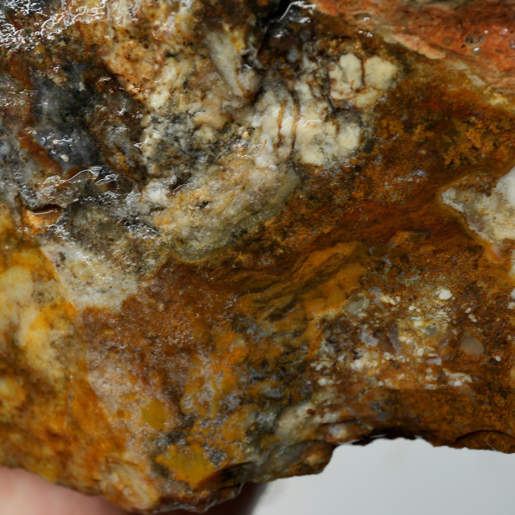 Ochoco Sunset Jasper Rough - Sunset Red Oolitic Galaxy Pattern