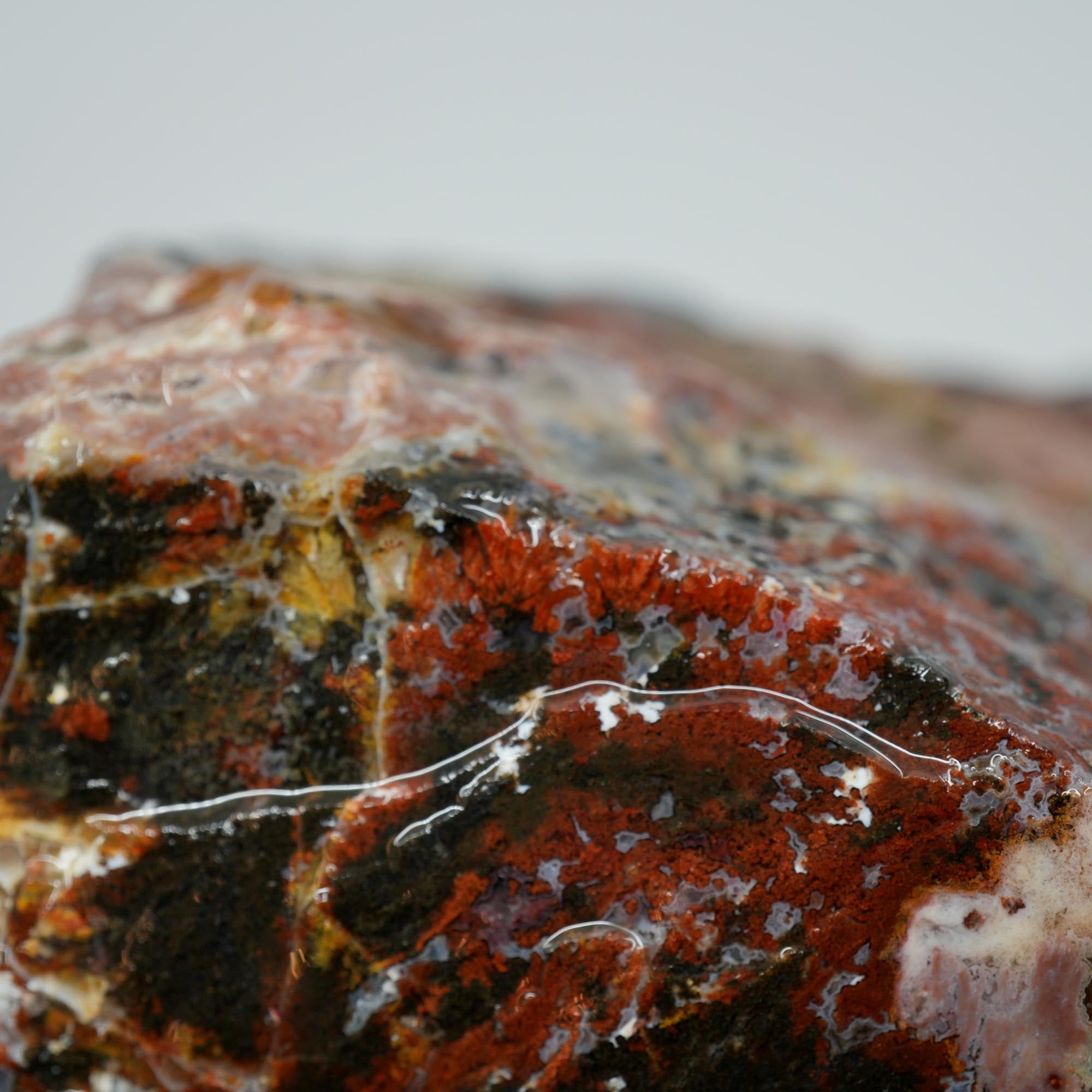 Eagle Rock Plume Agate Rough - Multicolored Breccia and Plume