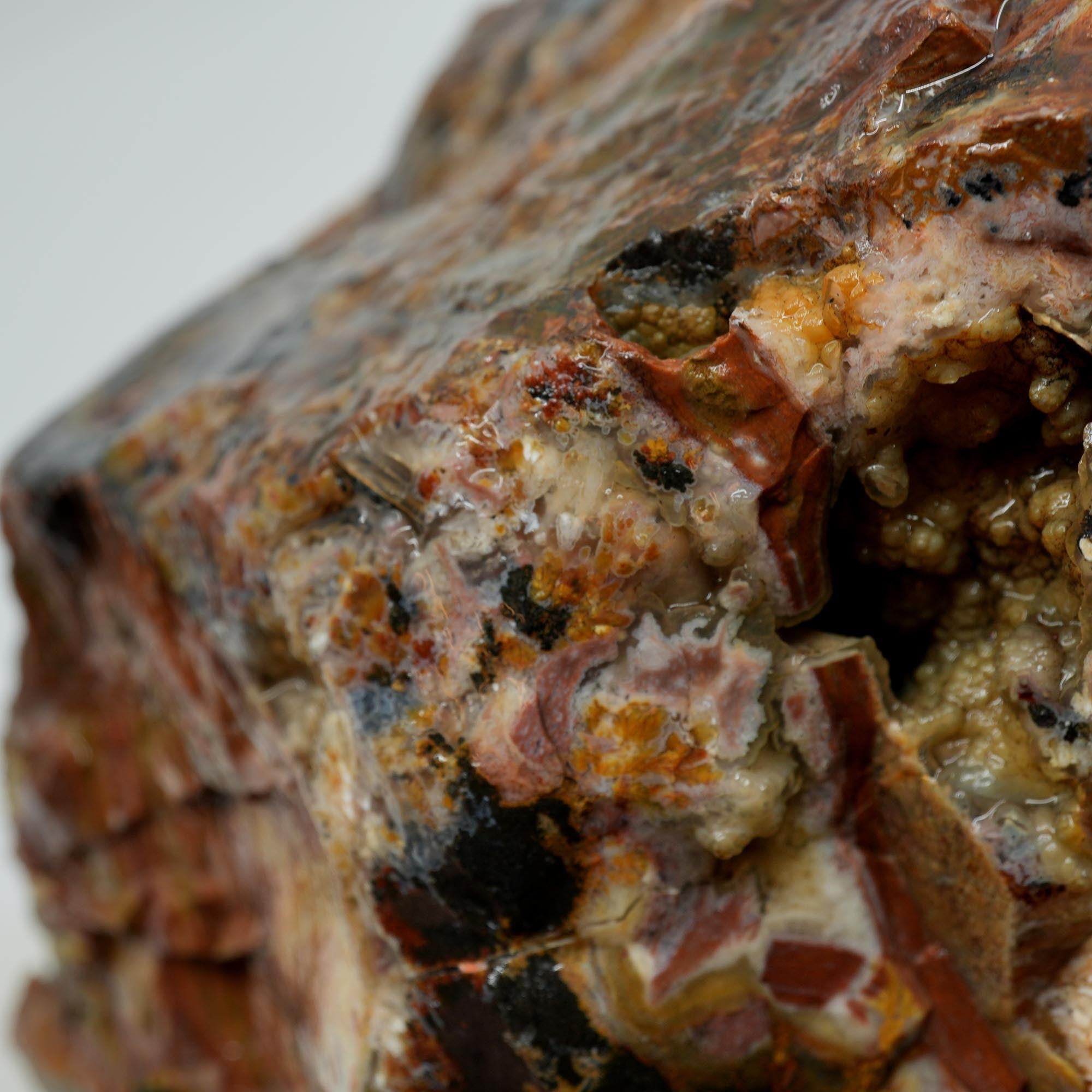 Eagle Rock Plume Agate Rough - Multicolored Breccia and Plume