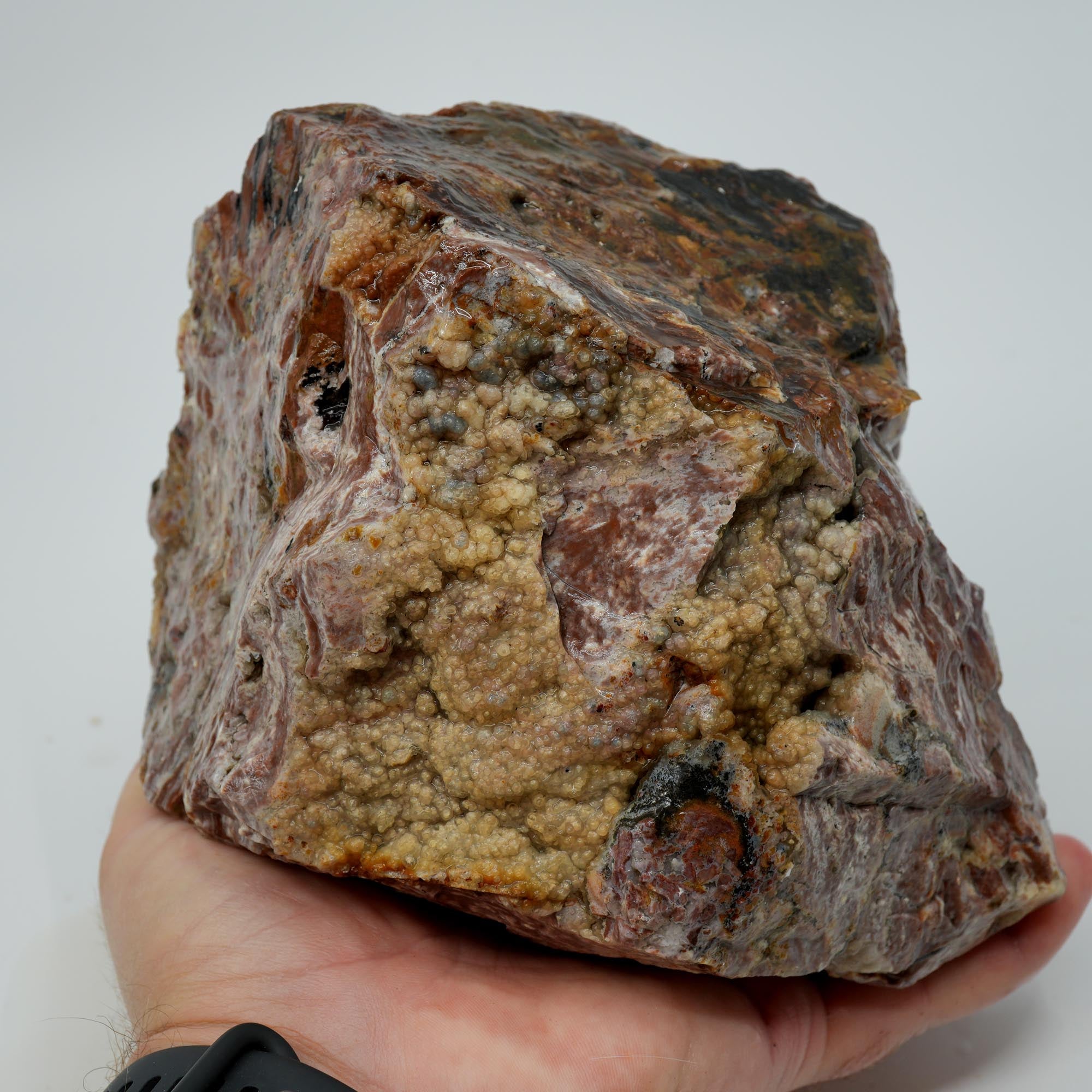 Eagle Rock Plume Agate Rough - Multicolored Breccia and Plume