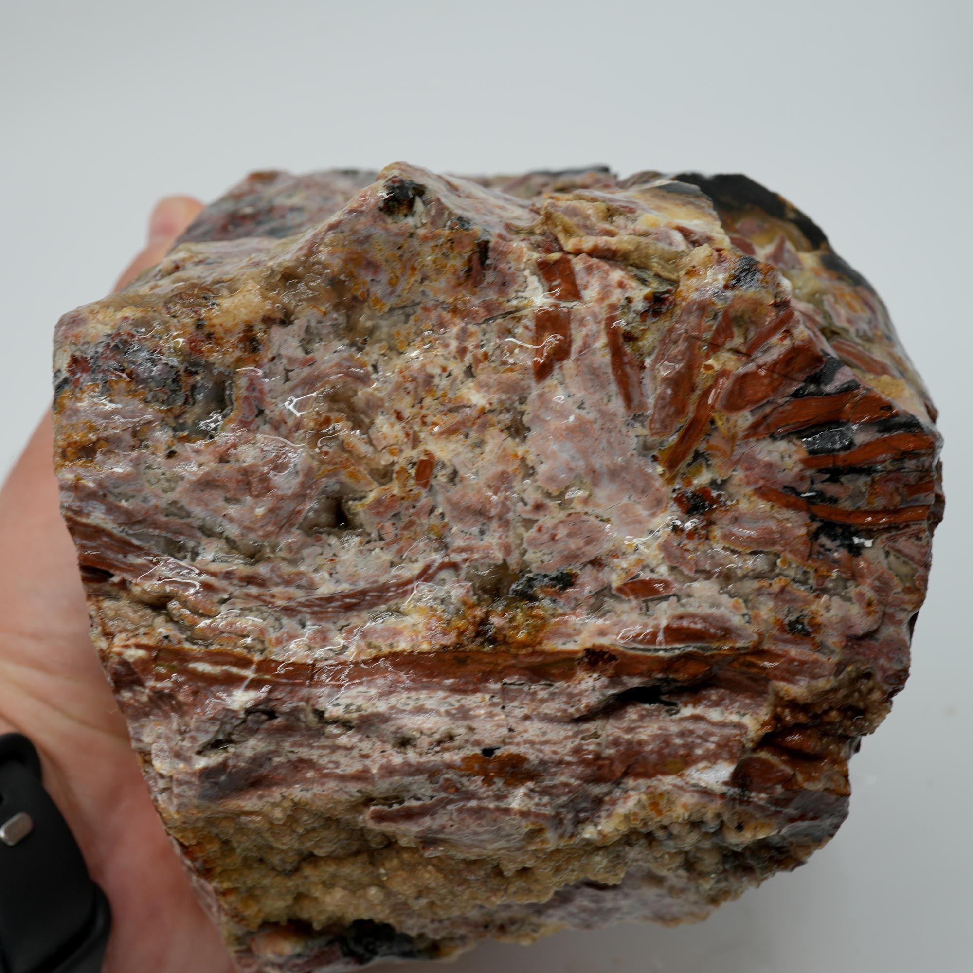 Eagle Rock Plume Agate Rough - Multicolored Breccia and Plume