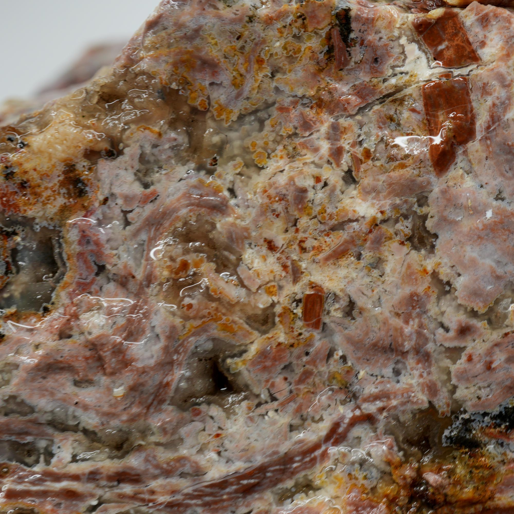 Eagle Rock Plume Agate Rough - Multicolored Breccia and Plume