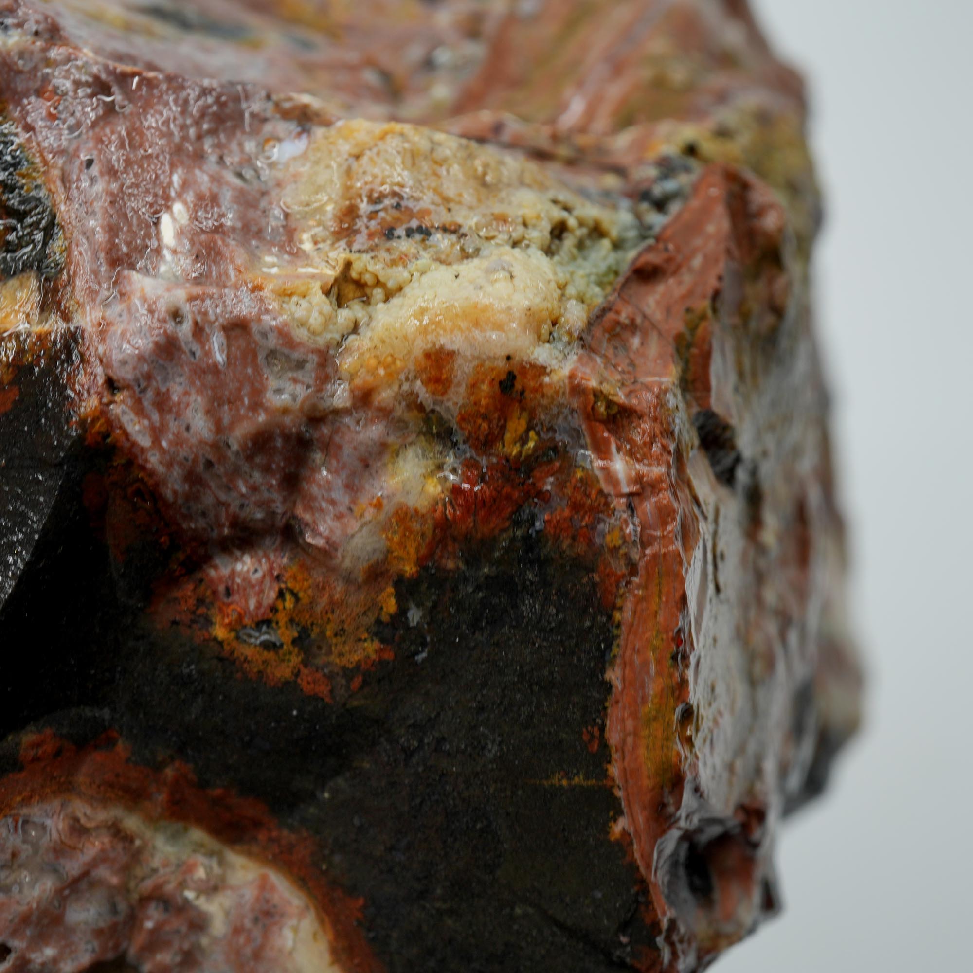 Eagle Rock Plume Agate Rough - Multicolored Breccia and Plume