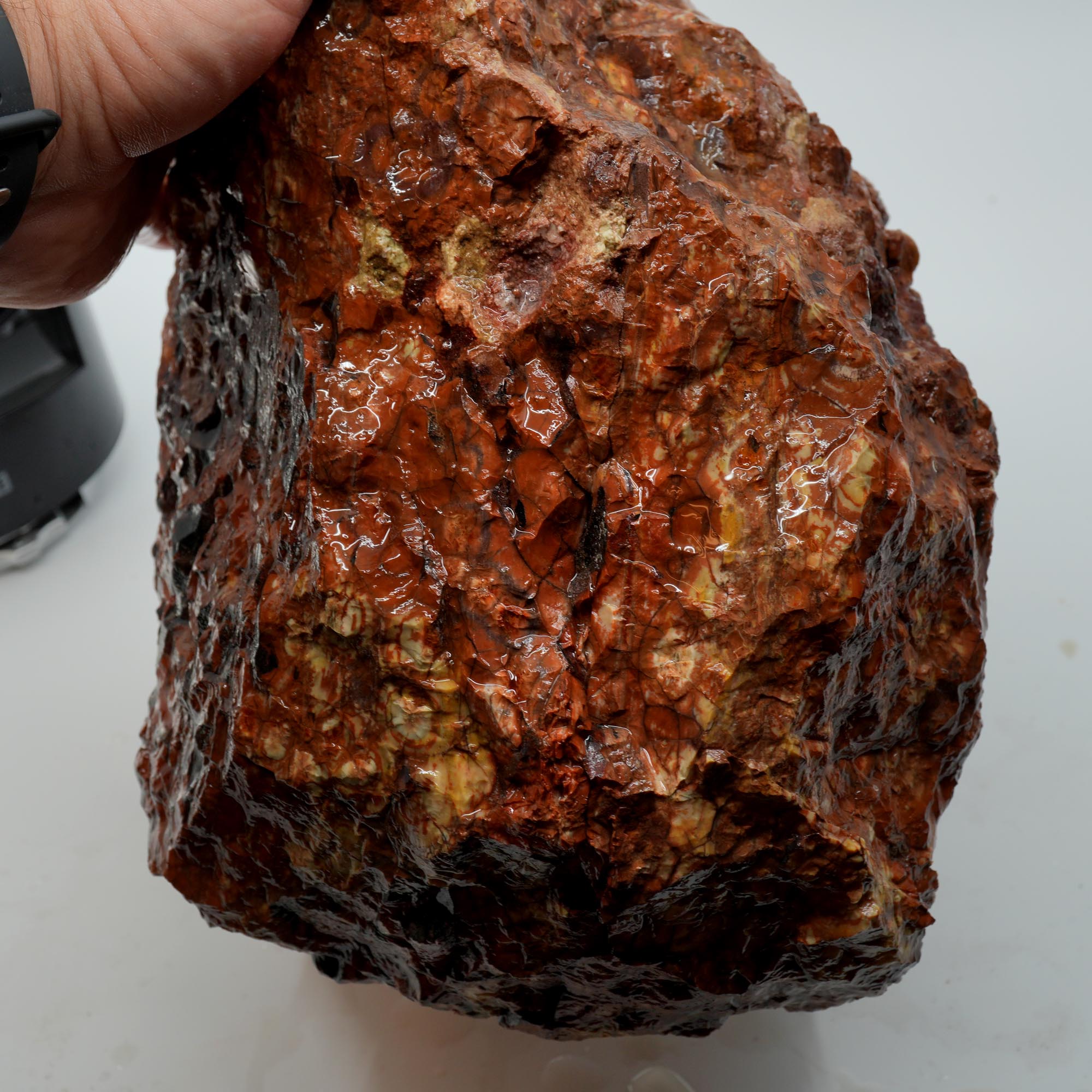 Huge Birdseye Rhyolite Rough - Lava Red Purple White Orbicular Original