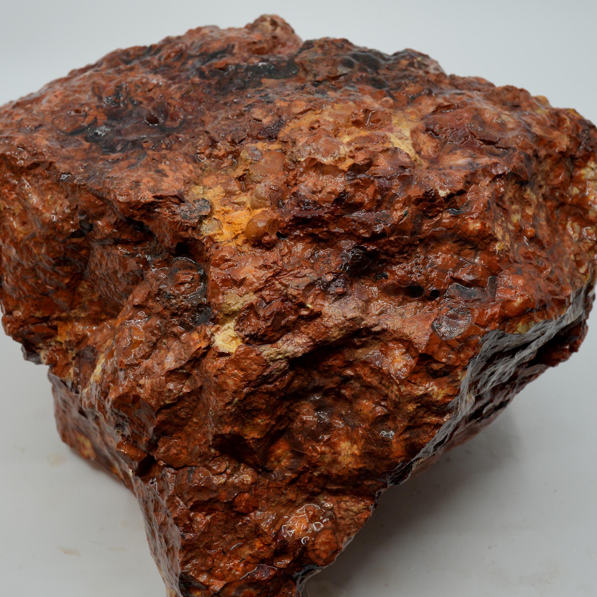 Huge Birdseye Rhyolite Rough - Lava Red Purple White Orbicular Original