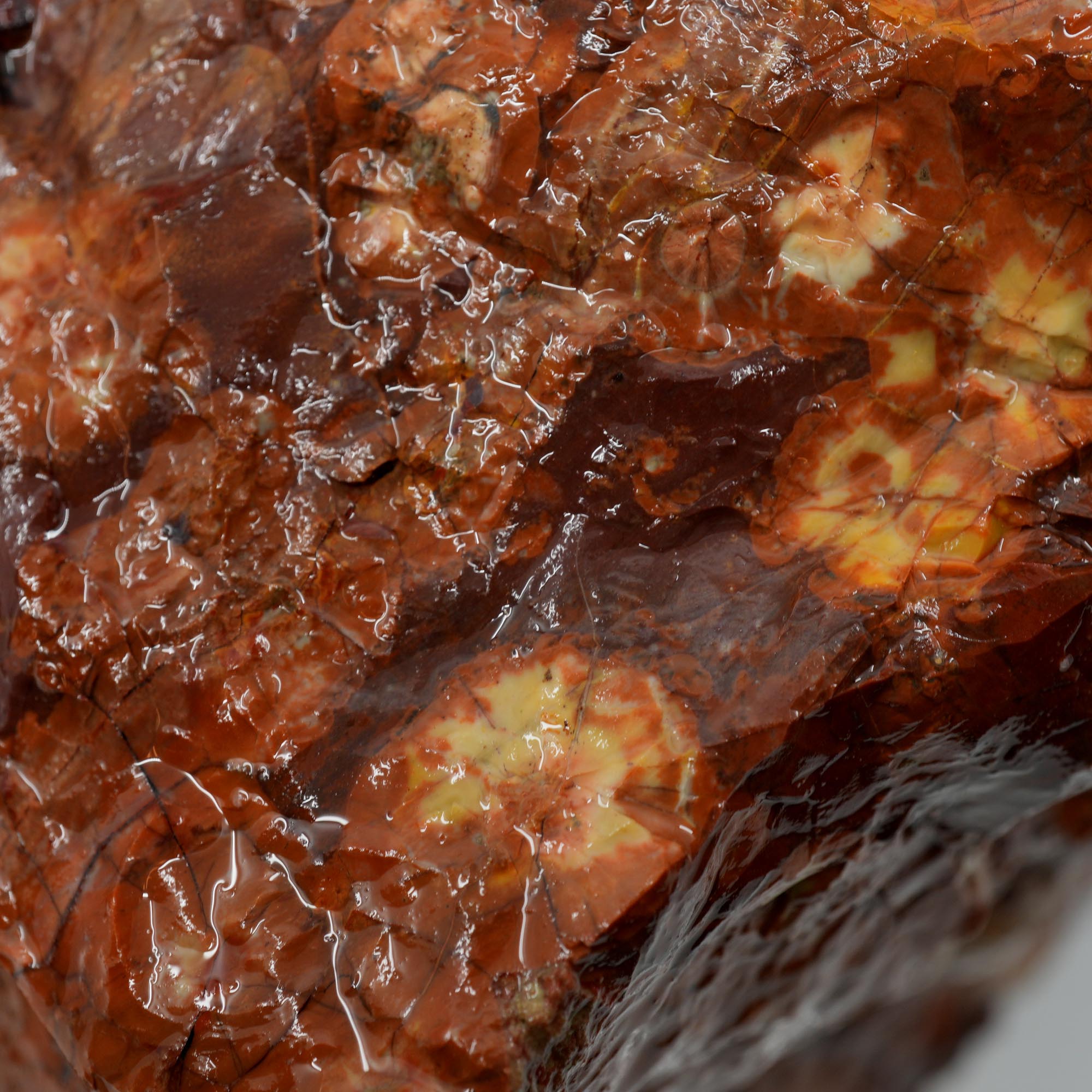 Huge Birdseye Rhyolite Rough - Lava Red Purple White Orbicular Original