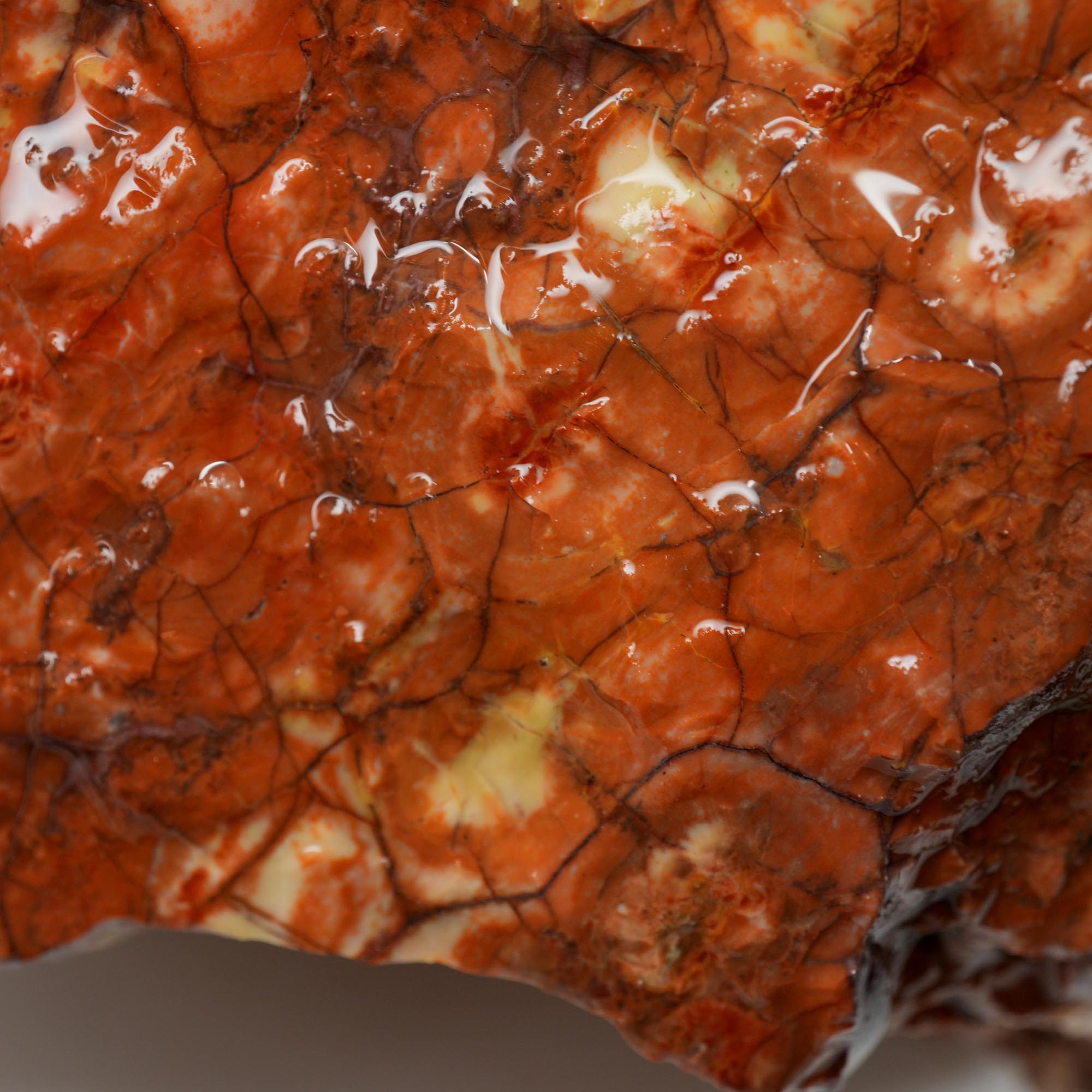 Huge Birdseye Rhyolite Rough - Lava Red Purple White Orbicular Original