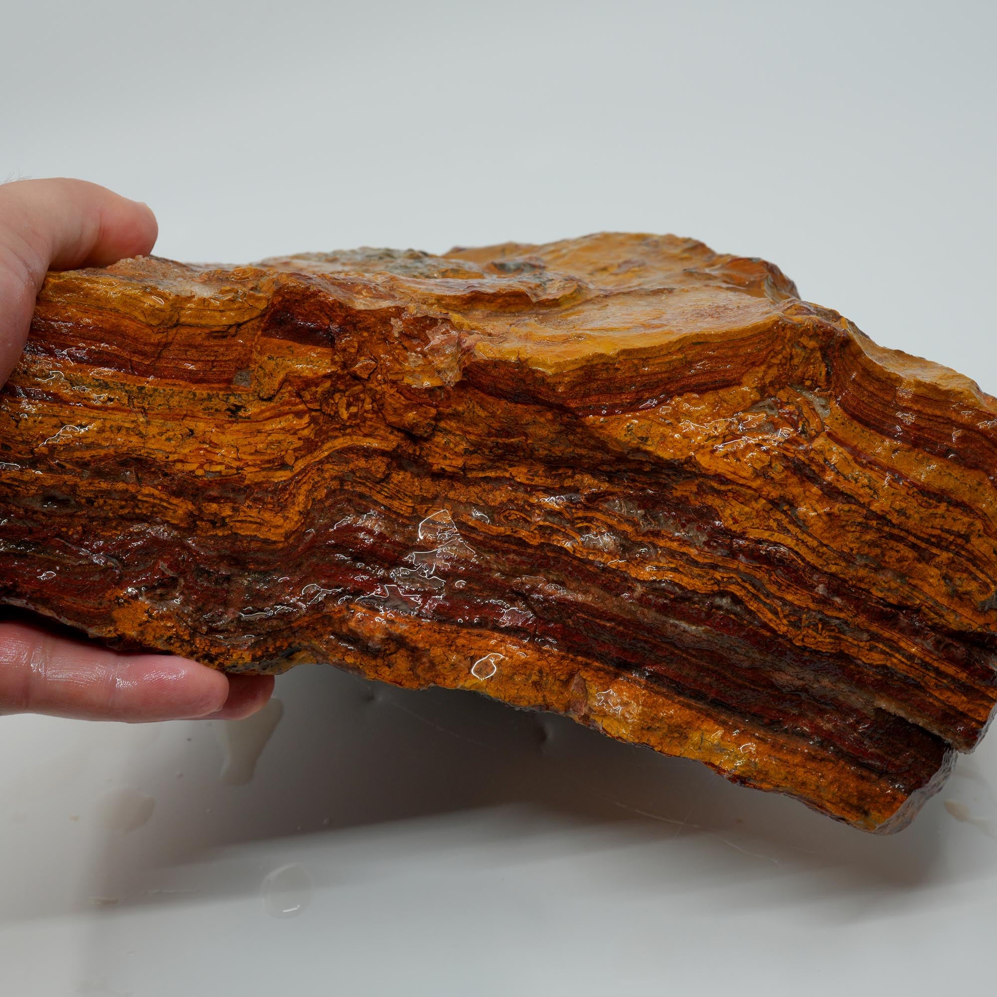 Apple Valley Jasper Rough - Wavy Red Hematite Stromatolite