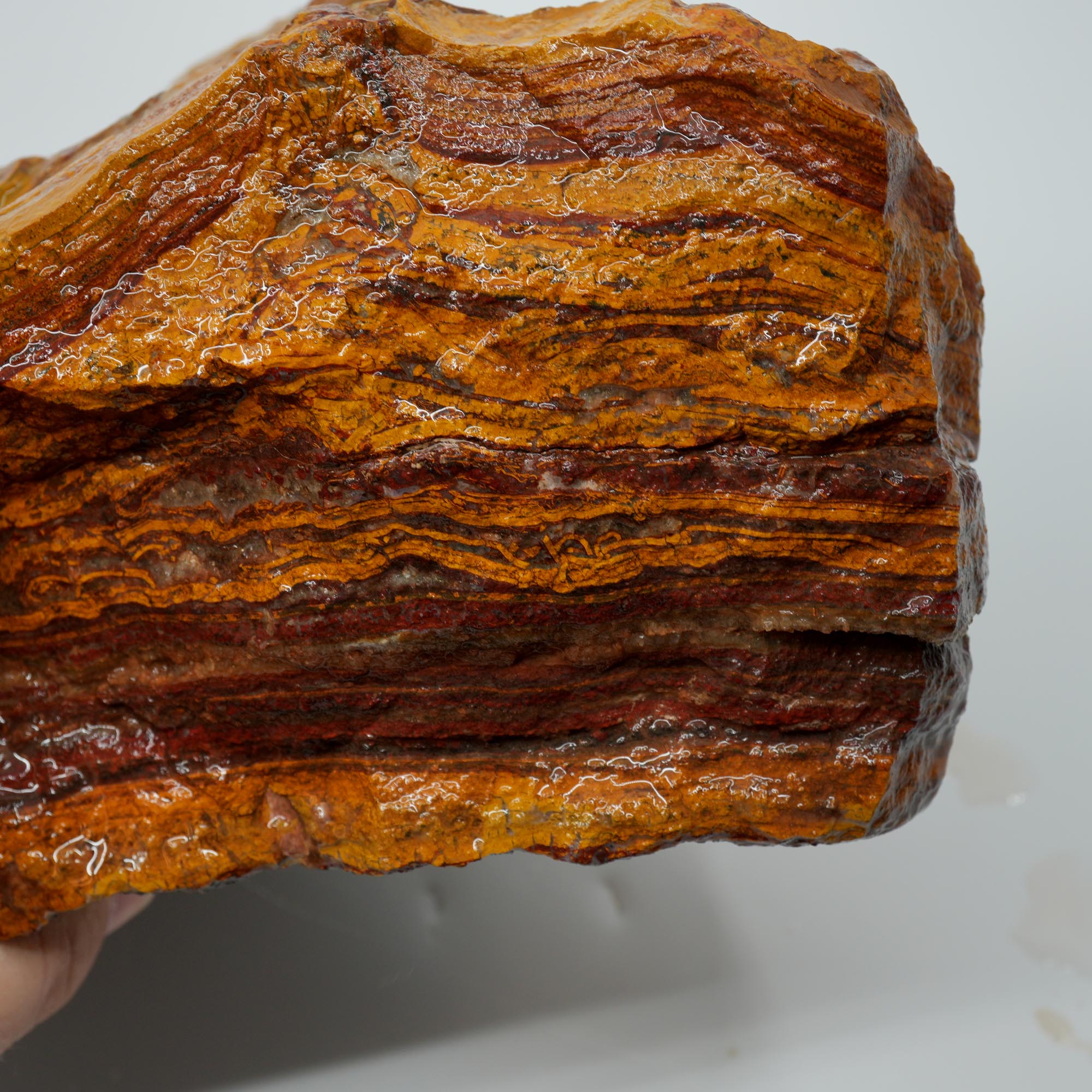 Apple Valley Jasper Rough - Wavy Red Hematite Stromatolite