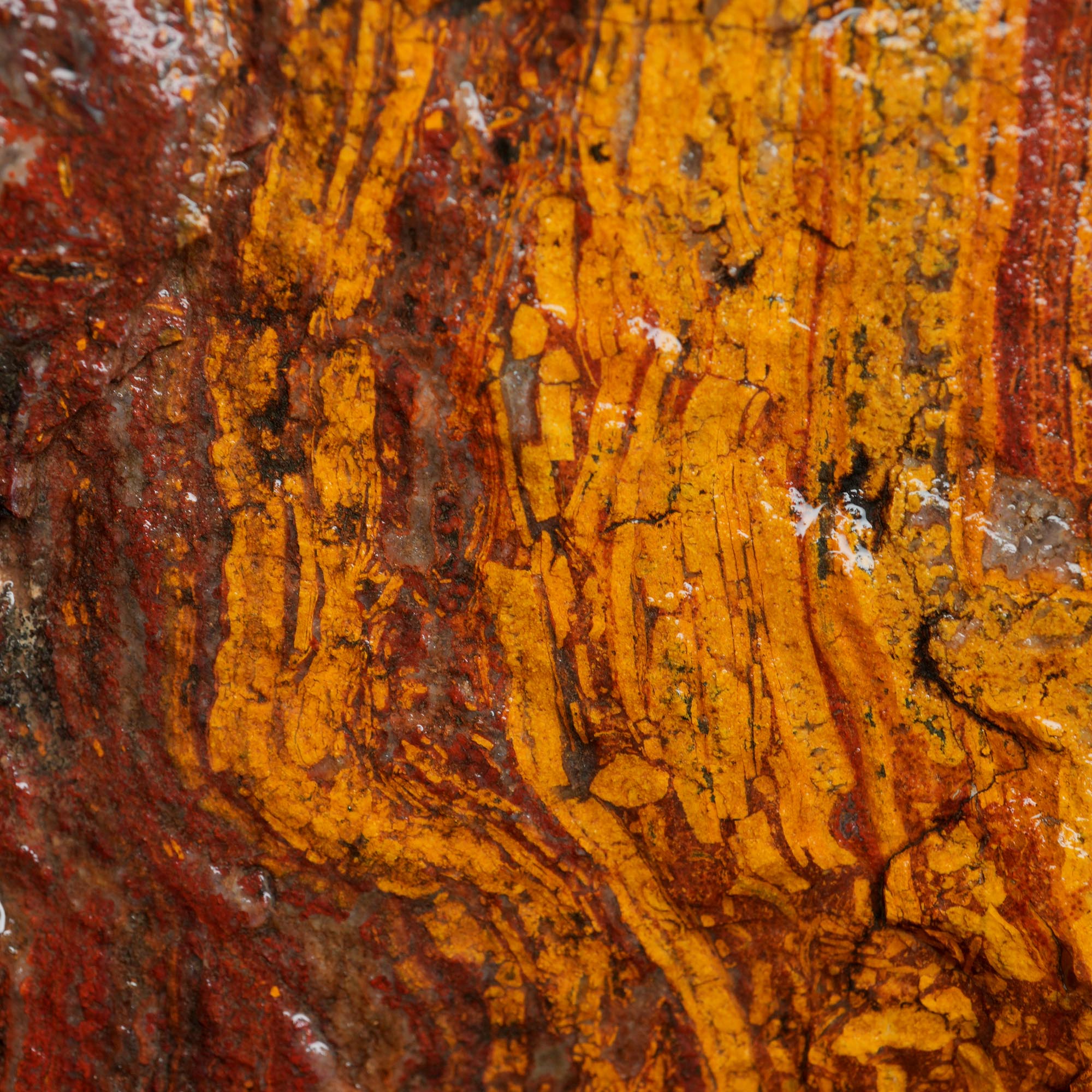 Apple Valley Jasper Rough - Wavy Red Hematite Stromatolite