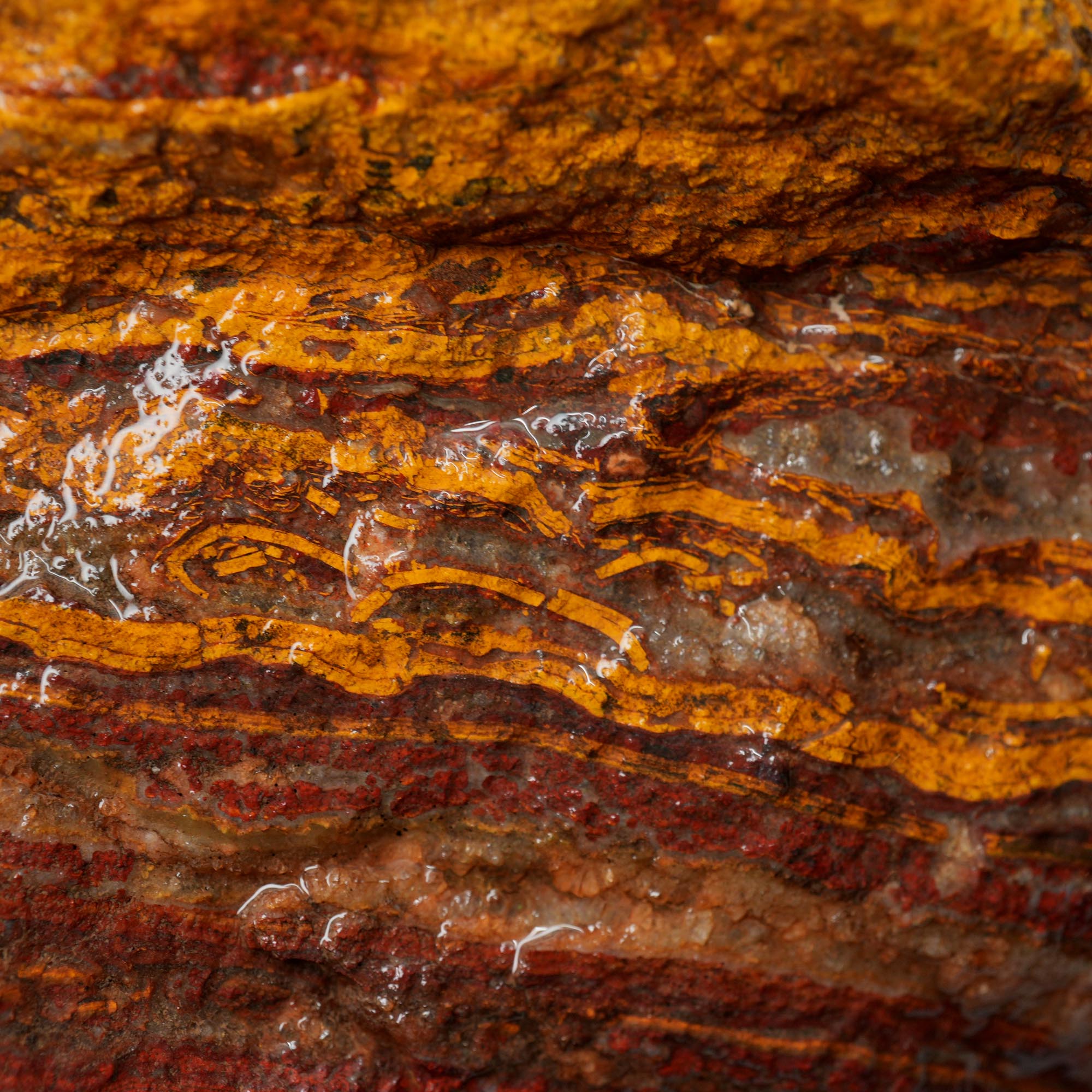 Apple Valley Jasper Rough - Wavy Red Hematite Stromatolite
