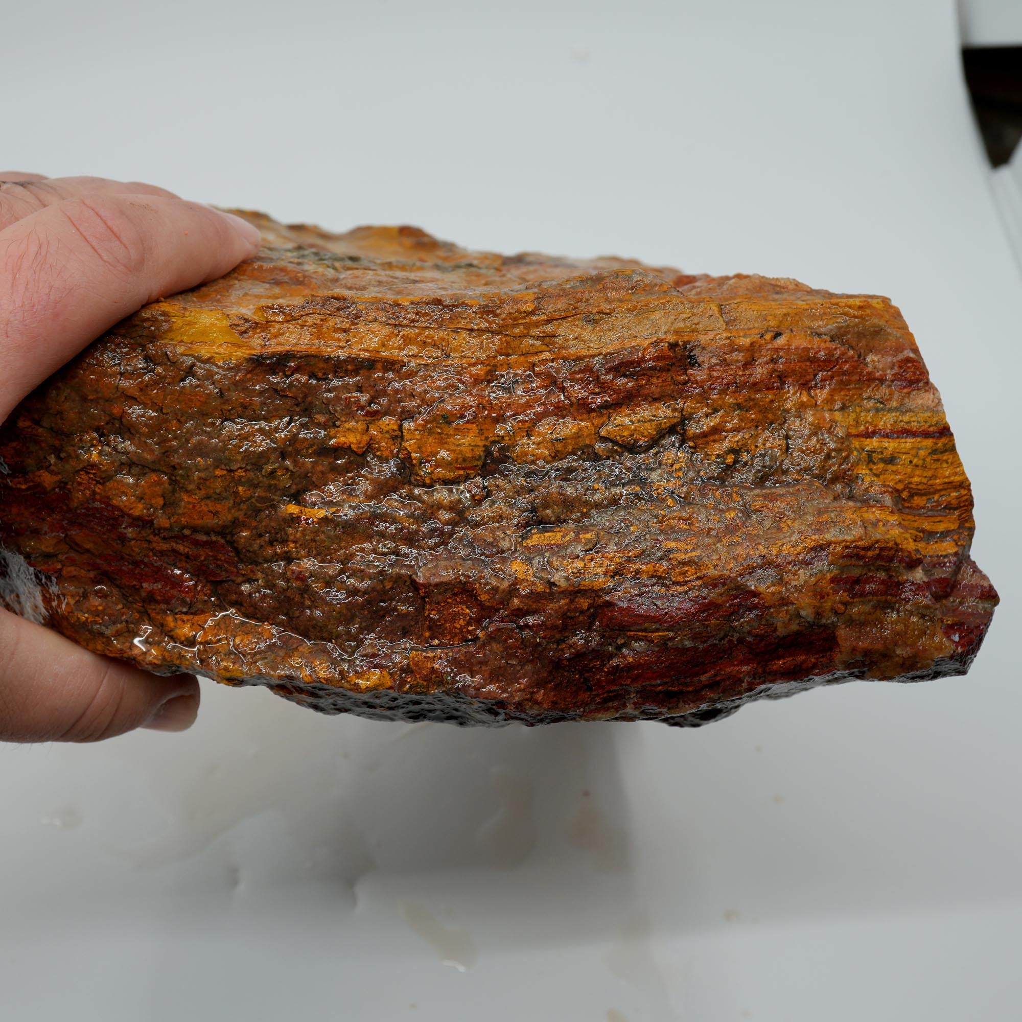 Apple Valley Jasper Rough - Wavy Red Hematite Stromatolite