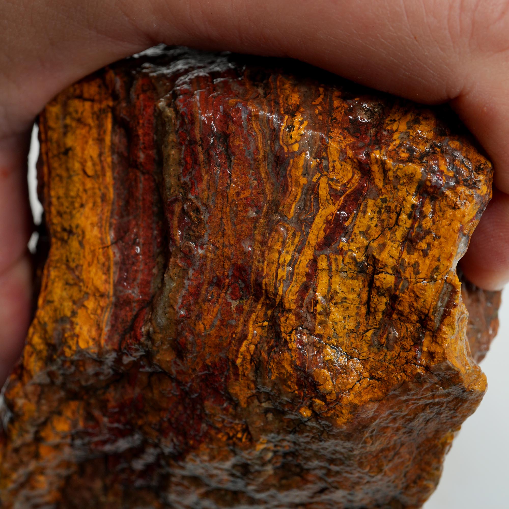 Apple Valley Jasper Rough - Wavy Red Hematite Stromatolite