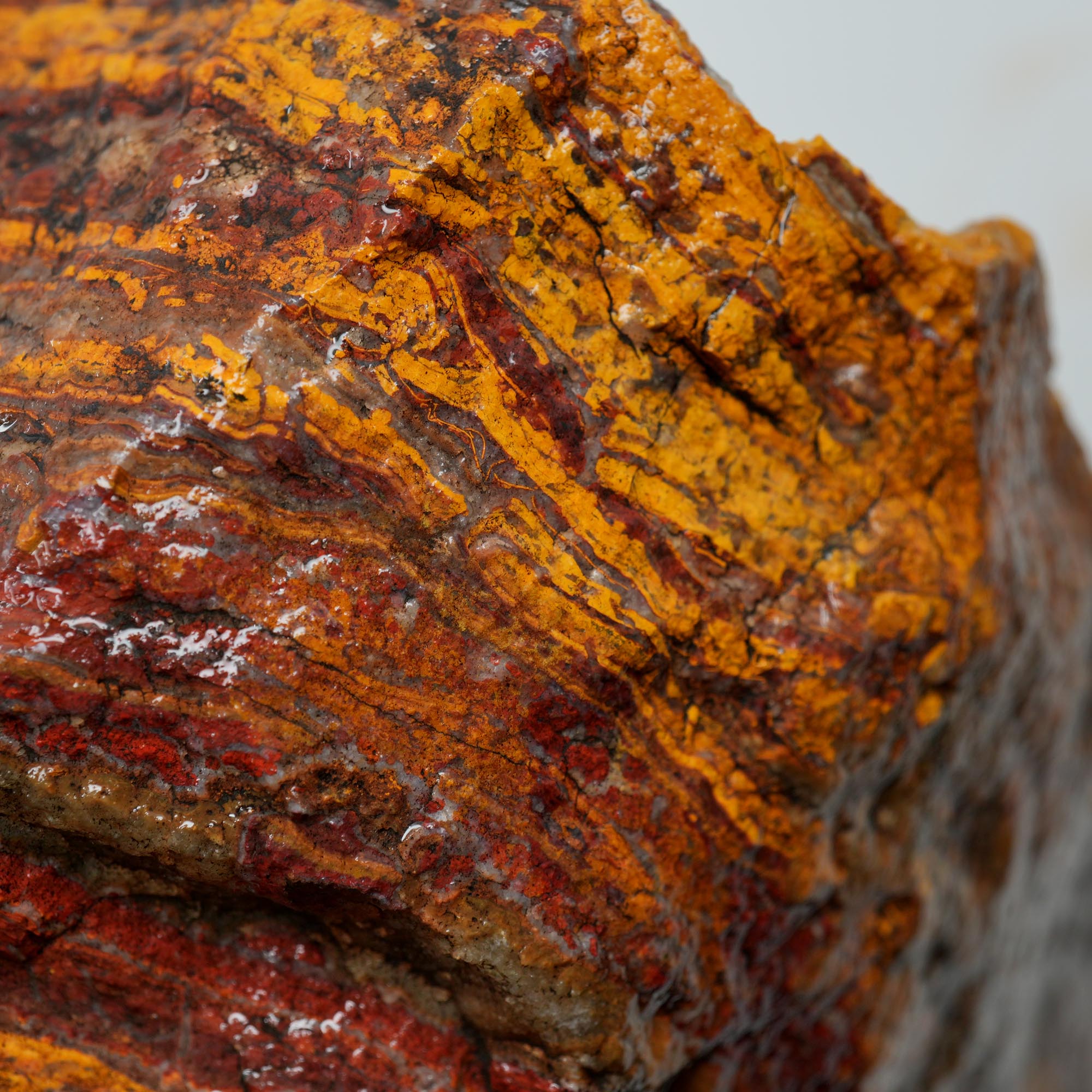 Apple Valley Jasper Rough - Wavy Red Hematite Stromatolite