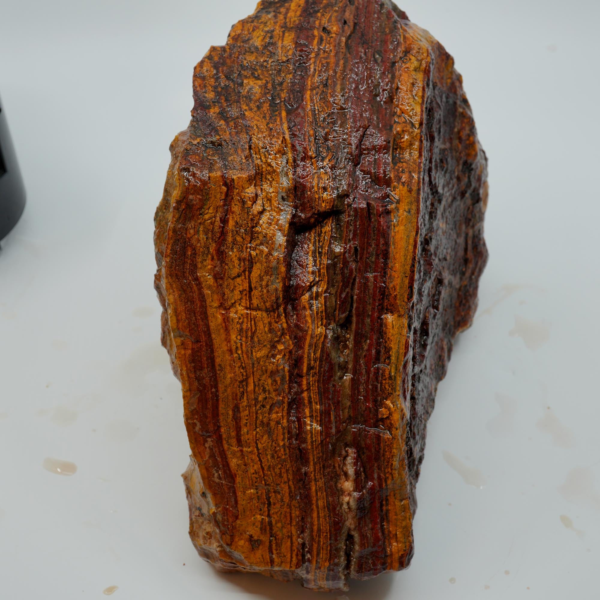 Apple Valley Jasper Rough - Wavy Red Hematite Stromatolite