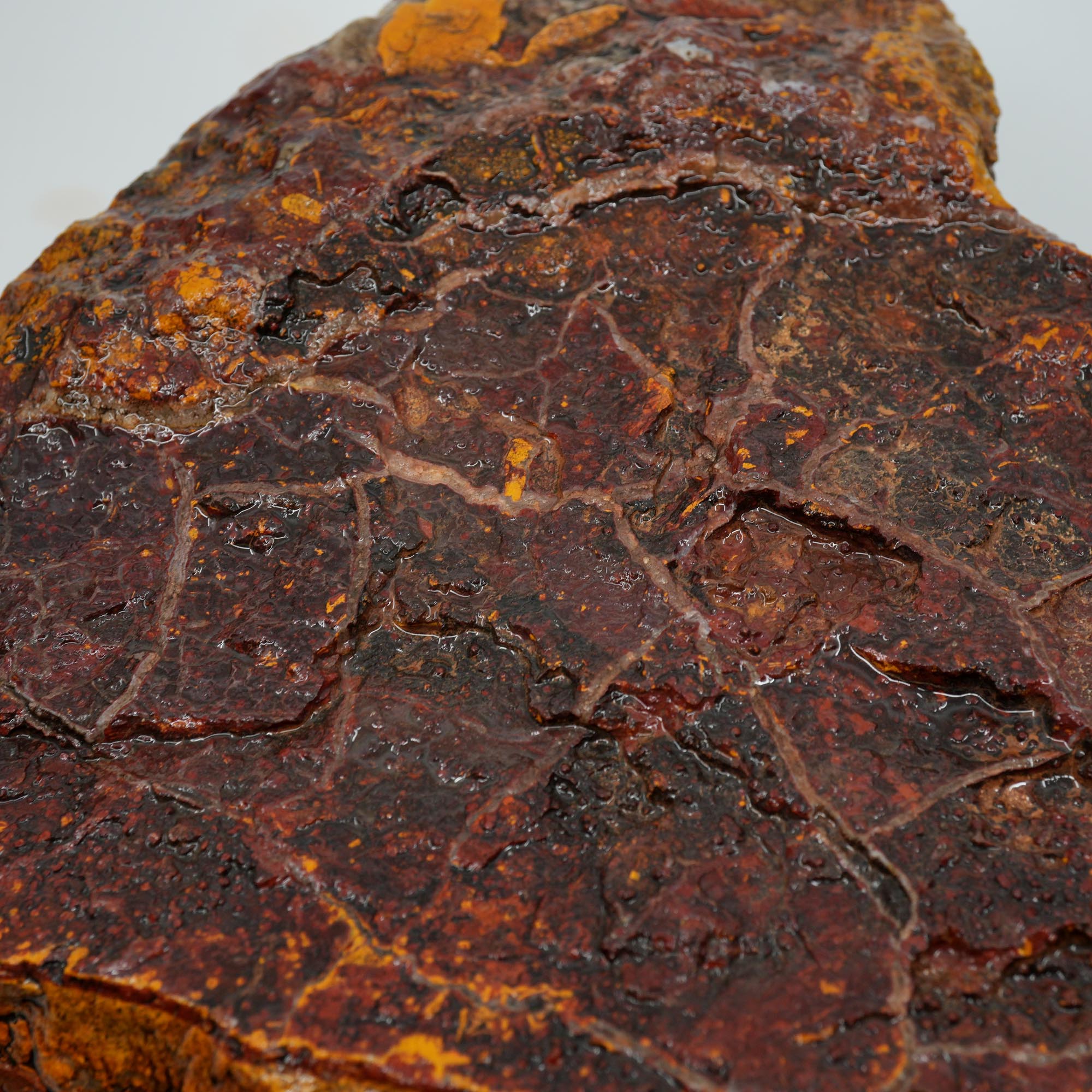 Apple Valley Jasper Rough - Wavy Red Hematite Stromatolite