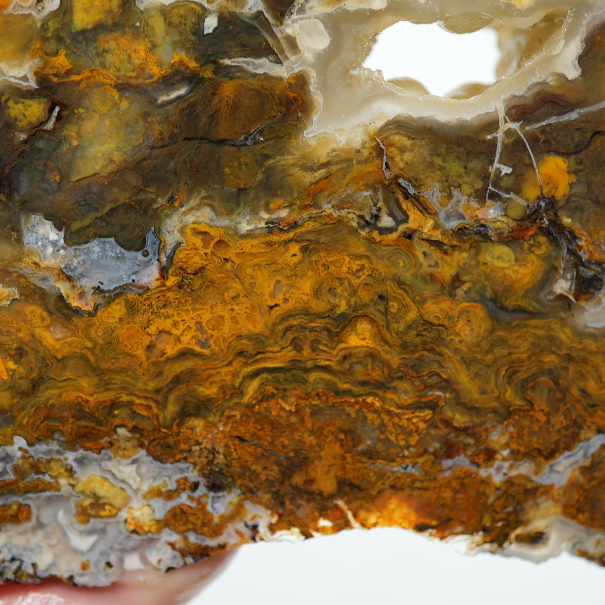 Jumpin Jeep Plume Agate Endcut - Oil Paint Pattern Quartz Druzy