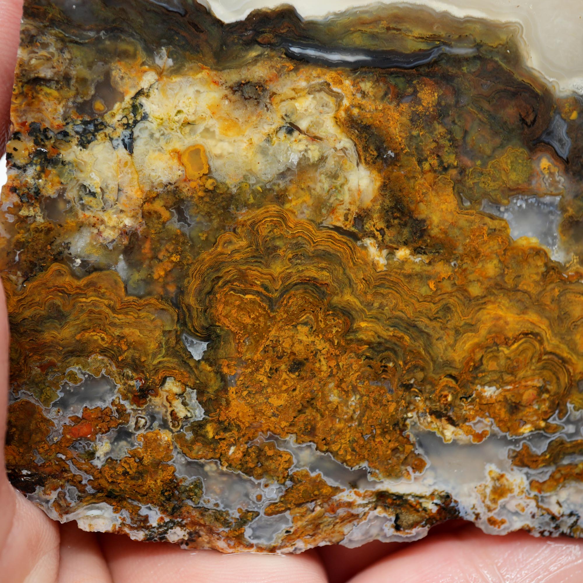 Jumpin Jeep Plume Agate Endcut - Oil Paint Pattern Quartz Druzy