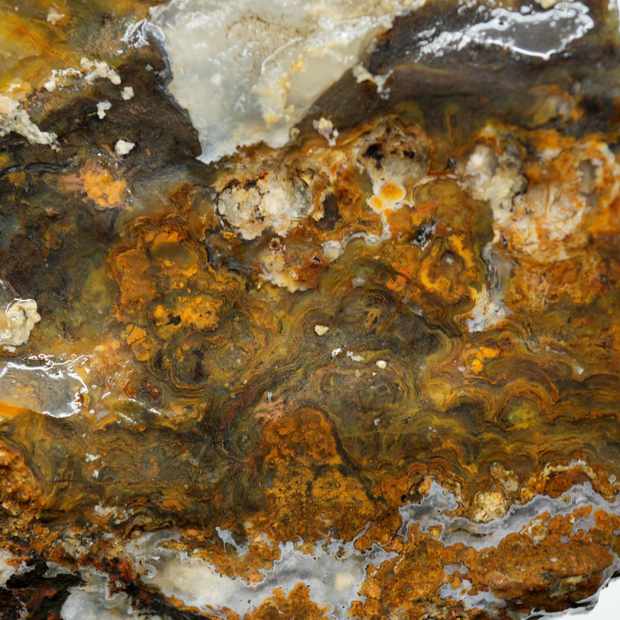Jumpin Jeep Plume Agate Endcut - Oil Paint Pattern Quartz Druzy