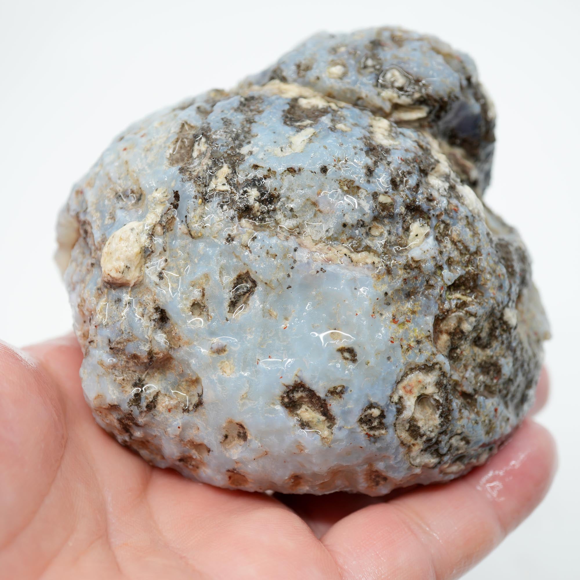 Solid Coconut Geode Rough - Blue Agate to the Surface Las Choyas