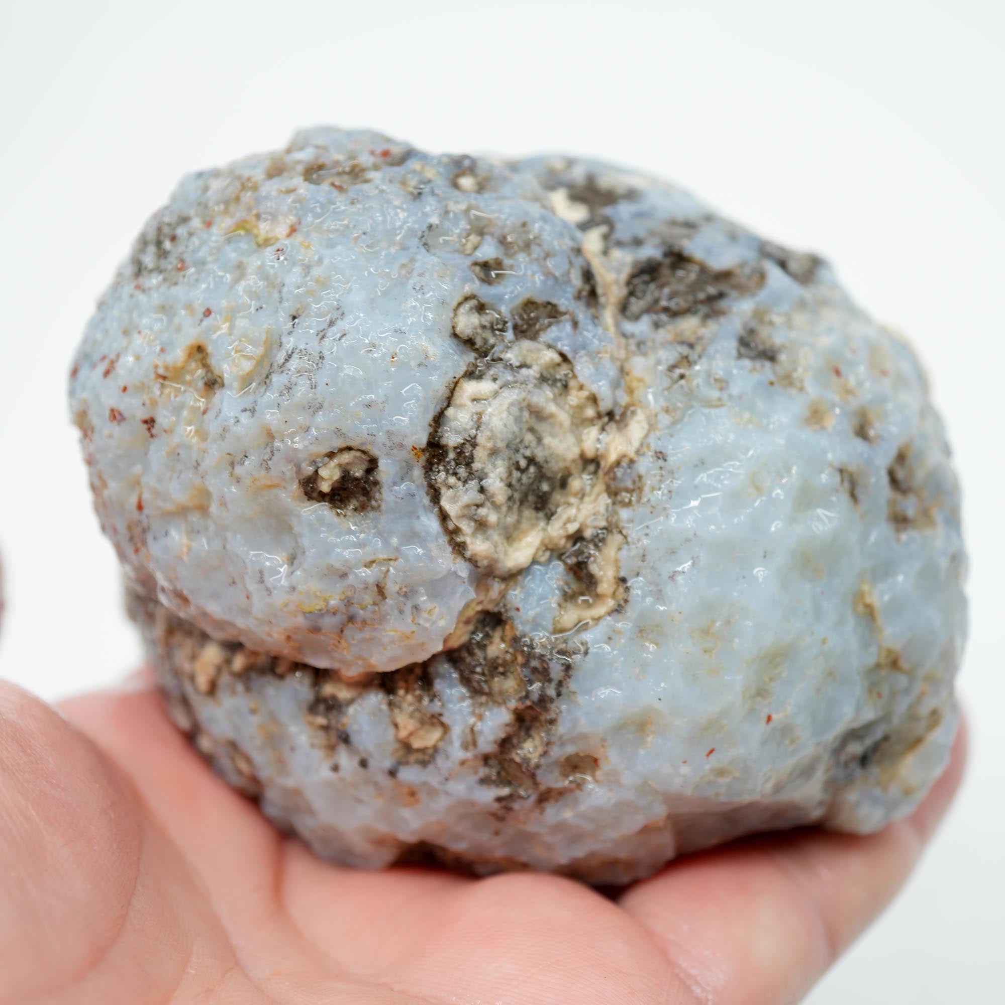 Solid Coconut Geode Rough - Blue Agate to the Surface Las Choyas
