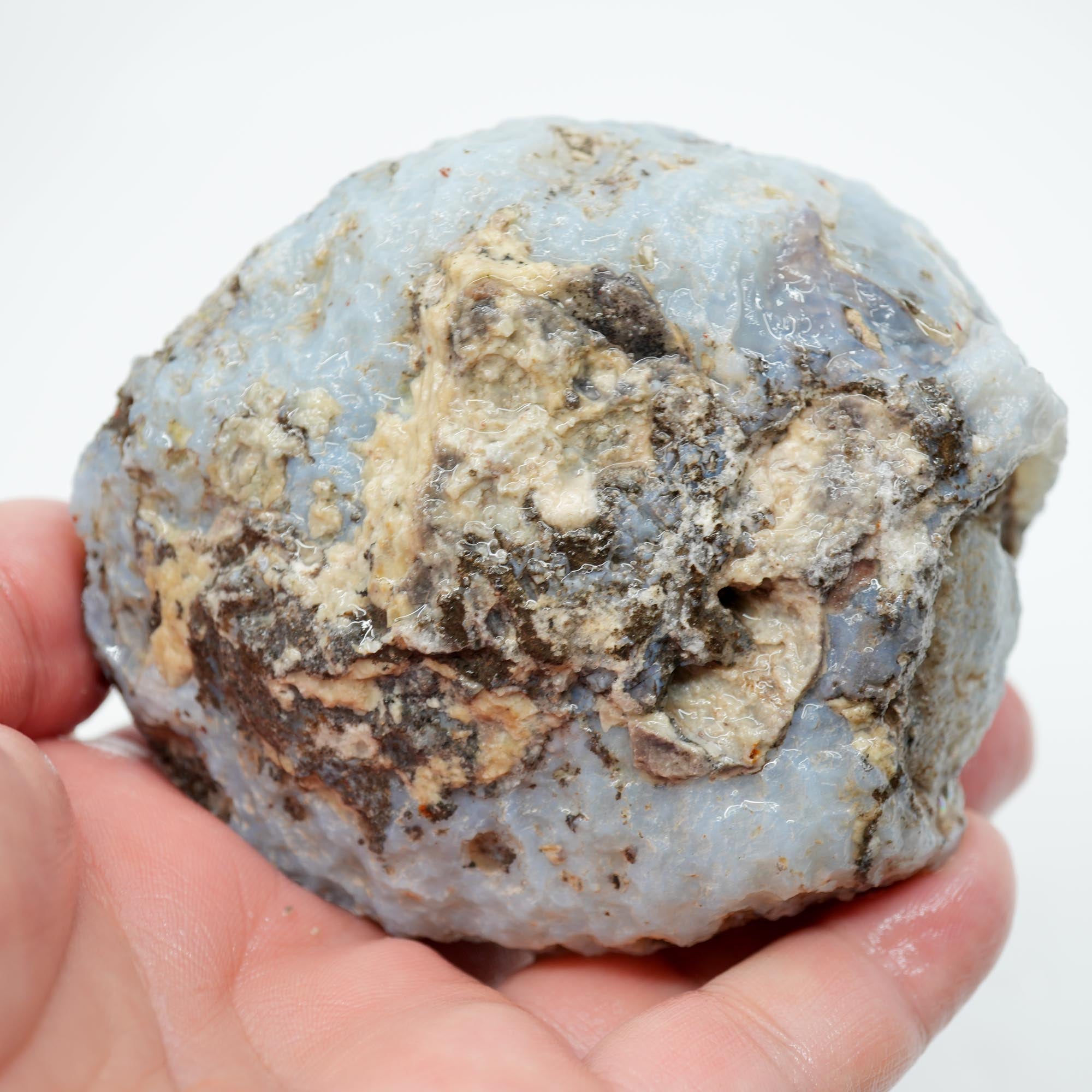 Solid Coconut Geode Rough - Blue Agate to the Surface Las Choyas