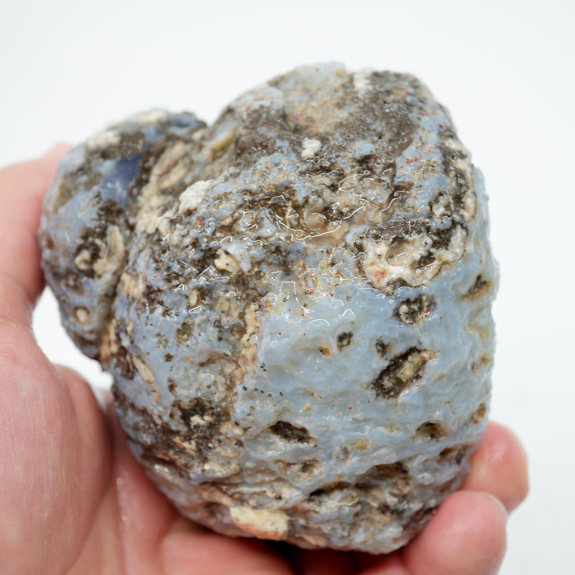 Solid Coconut Geode Rough - Blue Agate to the Surface Las Choyas