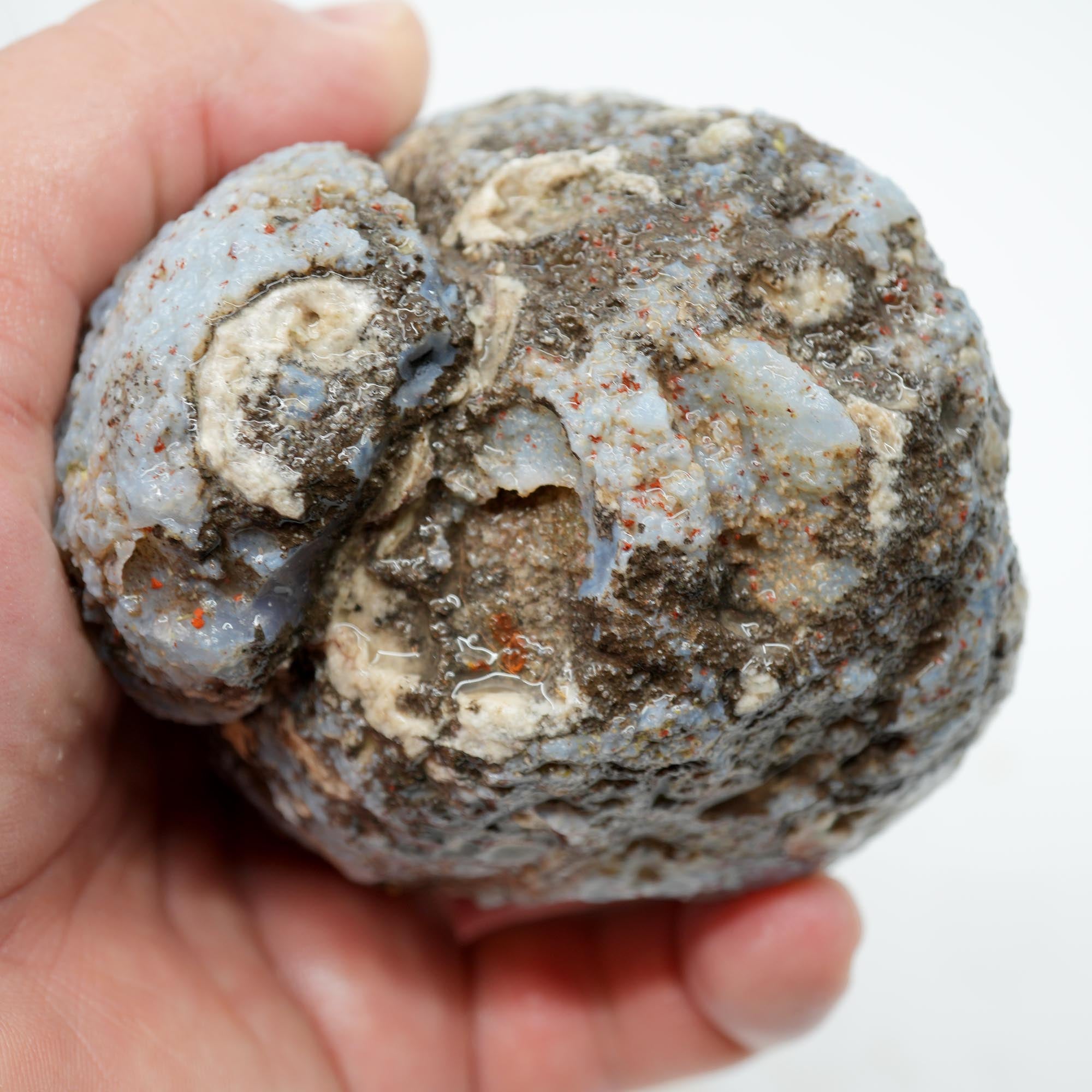 Solid Coconut Geode Rough - Blue Agate to the Surface Las Choyas