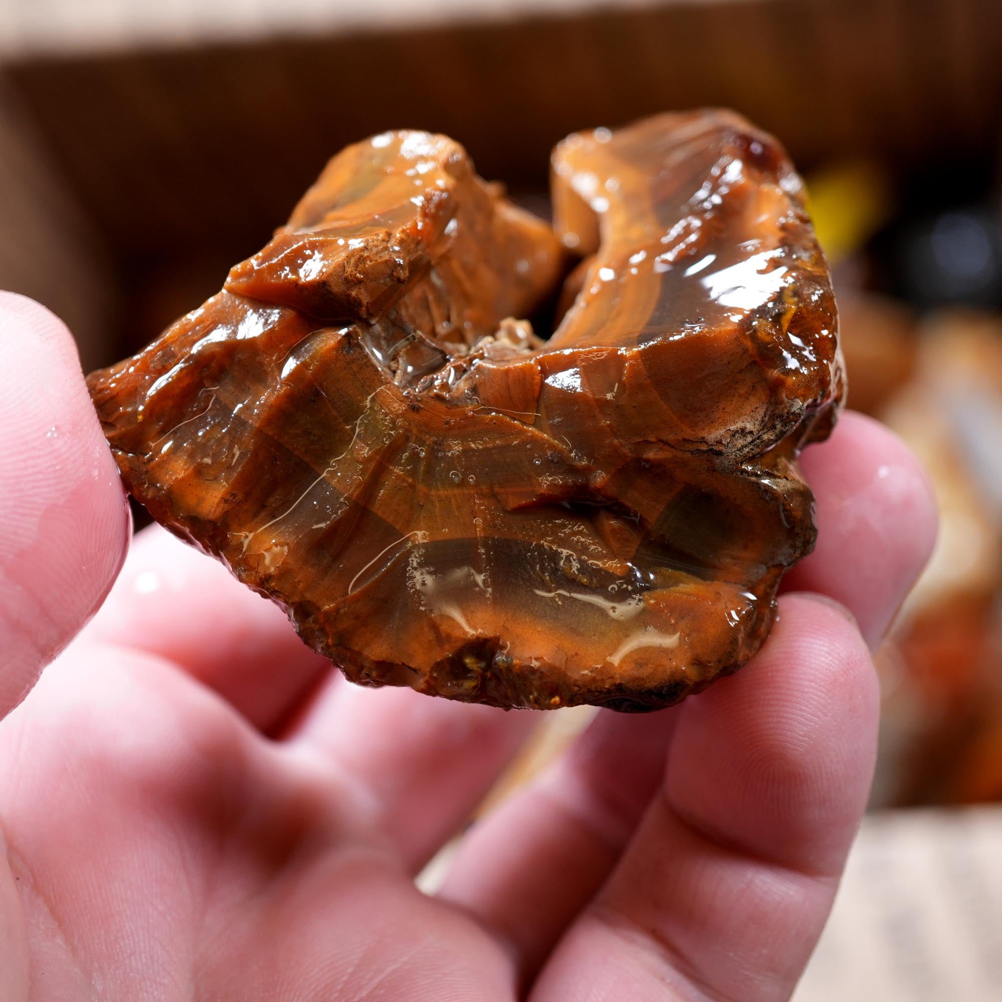 Washington Carnelian Agate Rough Flatrate - Old Stock Orange