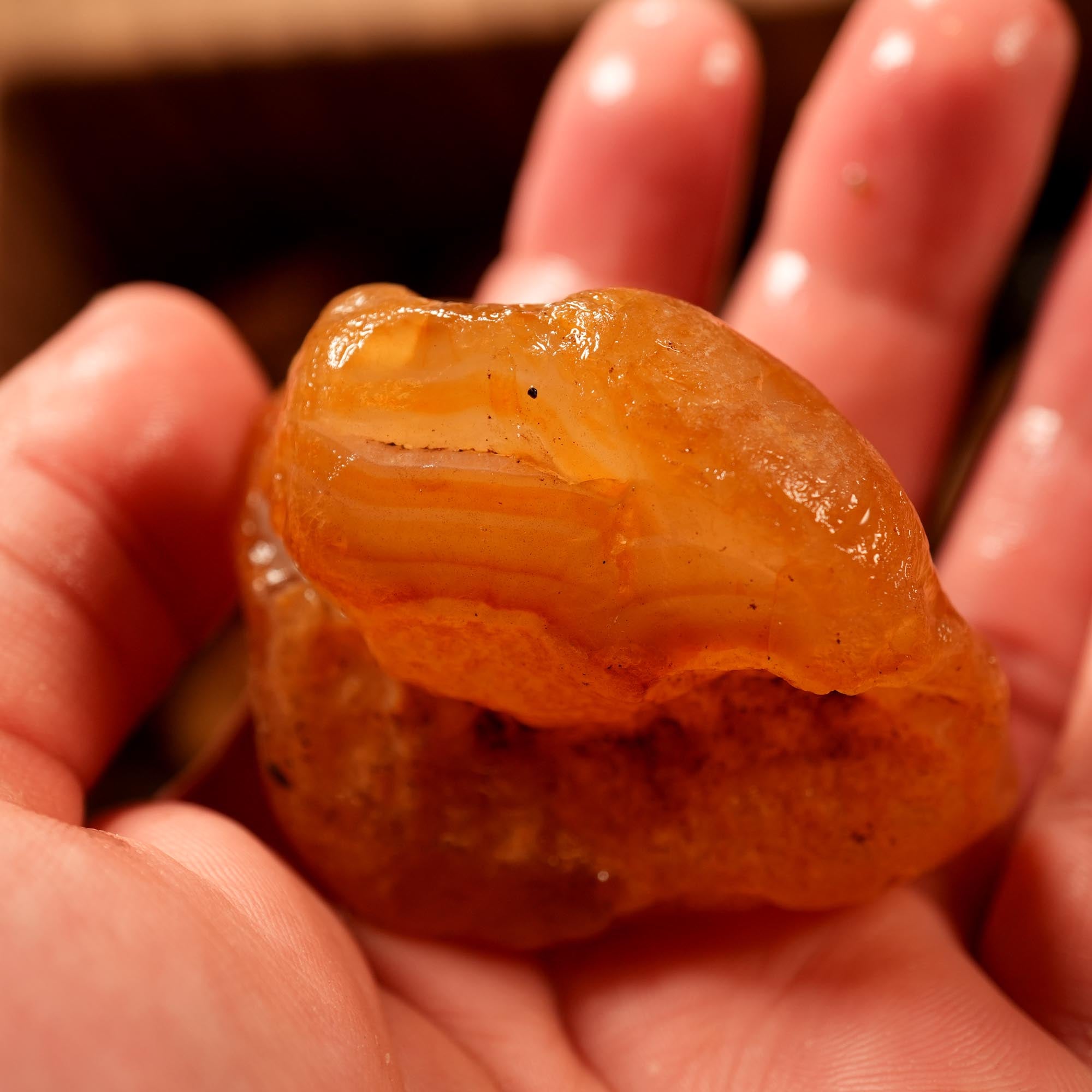 Washington Carnelian Agate Rough Flatrate - Old Stock Orange