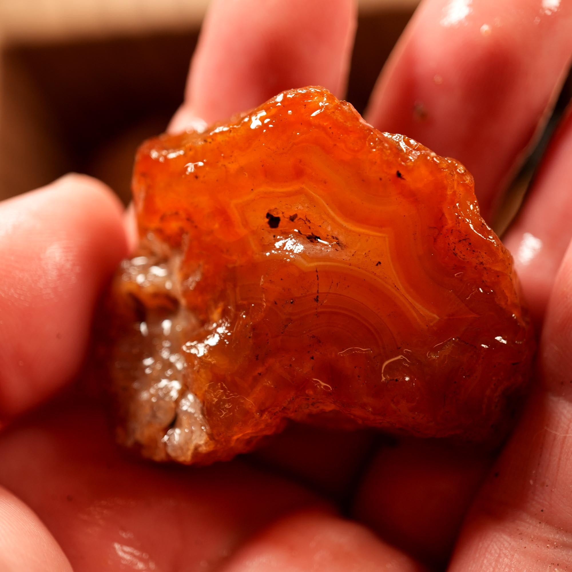 Washington Carnelian Agate Rough Flatrate - Old Stock Orange
