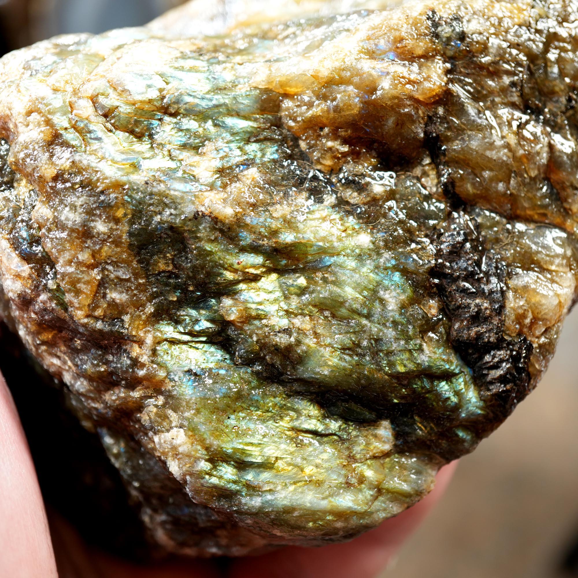 Labradorite Cutting Rough Mix Flatrate - Rare Colored & Fire Flash