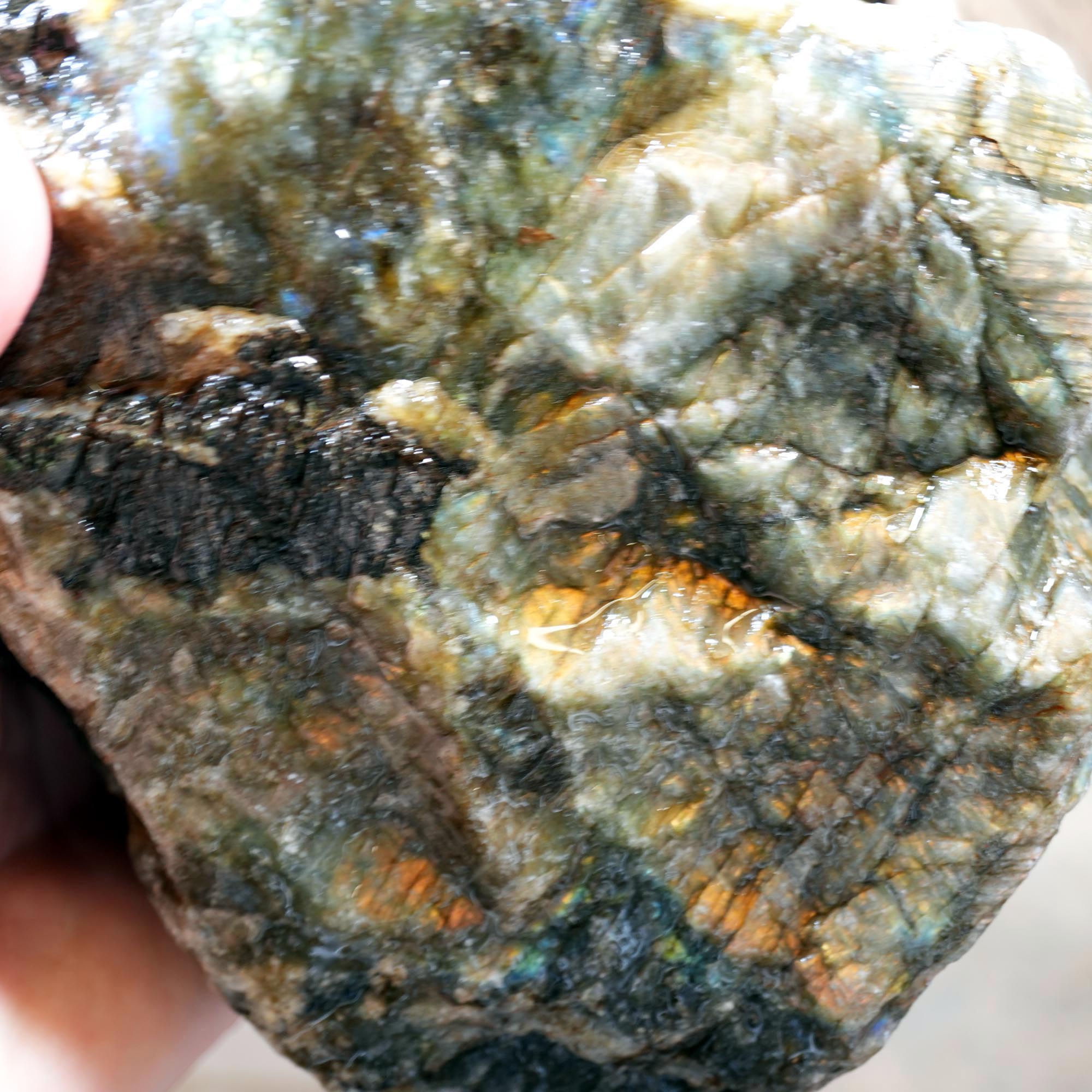 Labradorite Cutting Rough Mix Flatrate - Rare Colored & Fire Flash