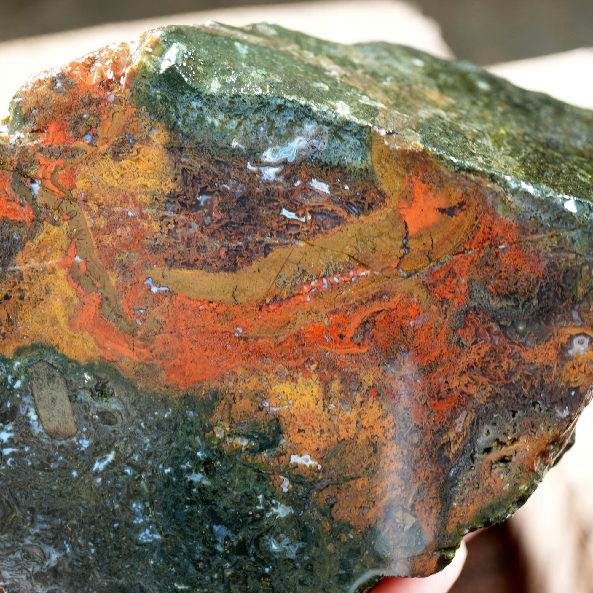 Cutting Rough Mix Flatrate - Oregon Moss Agate & Thunderegg