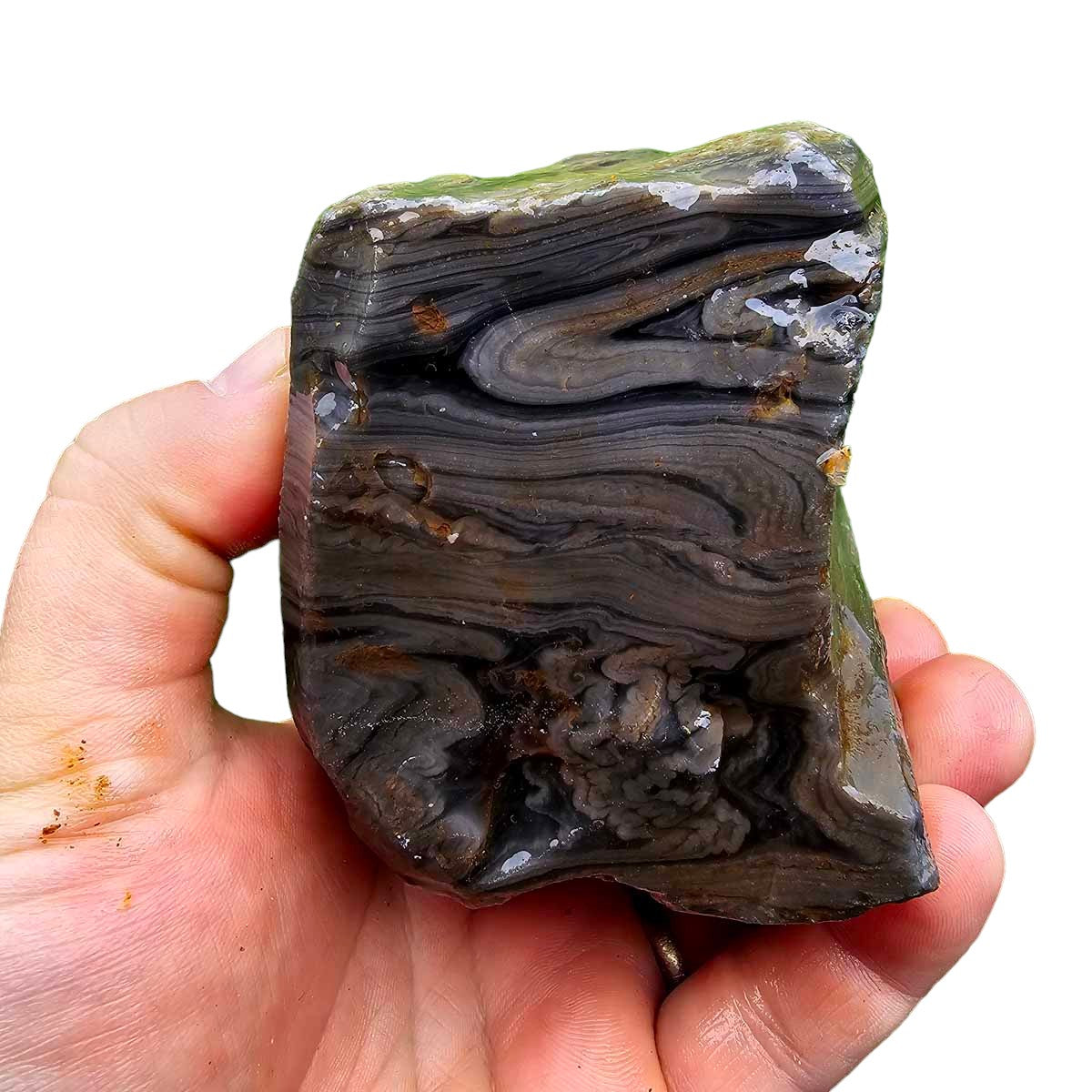 Rare Damascus Obsidian Rough Chunk!