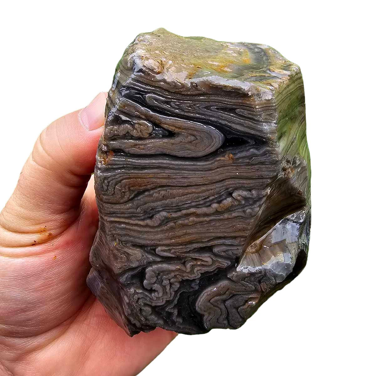 Rare Damascus Obsidian Rough Chunk!