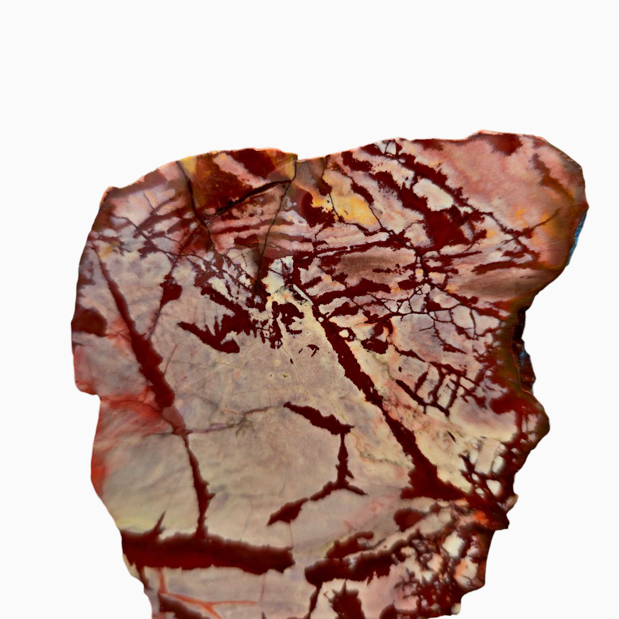 Dead Camel Jasper Lapidary Cutting Rough Chunk Stone Cut Face