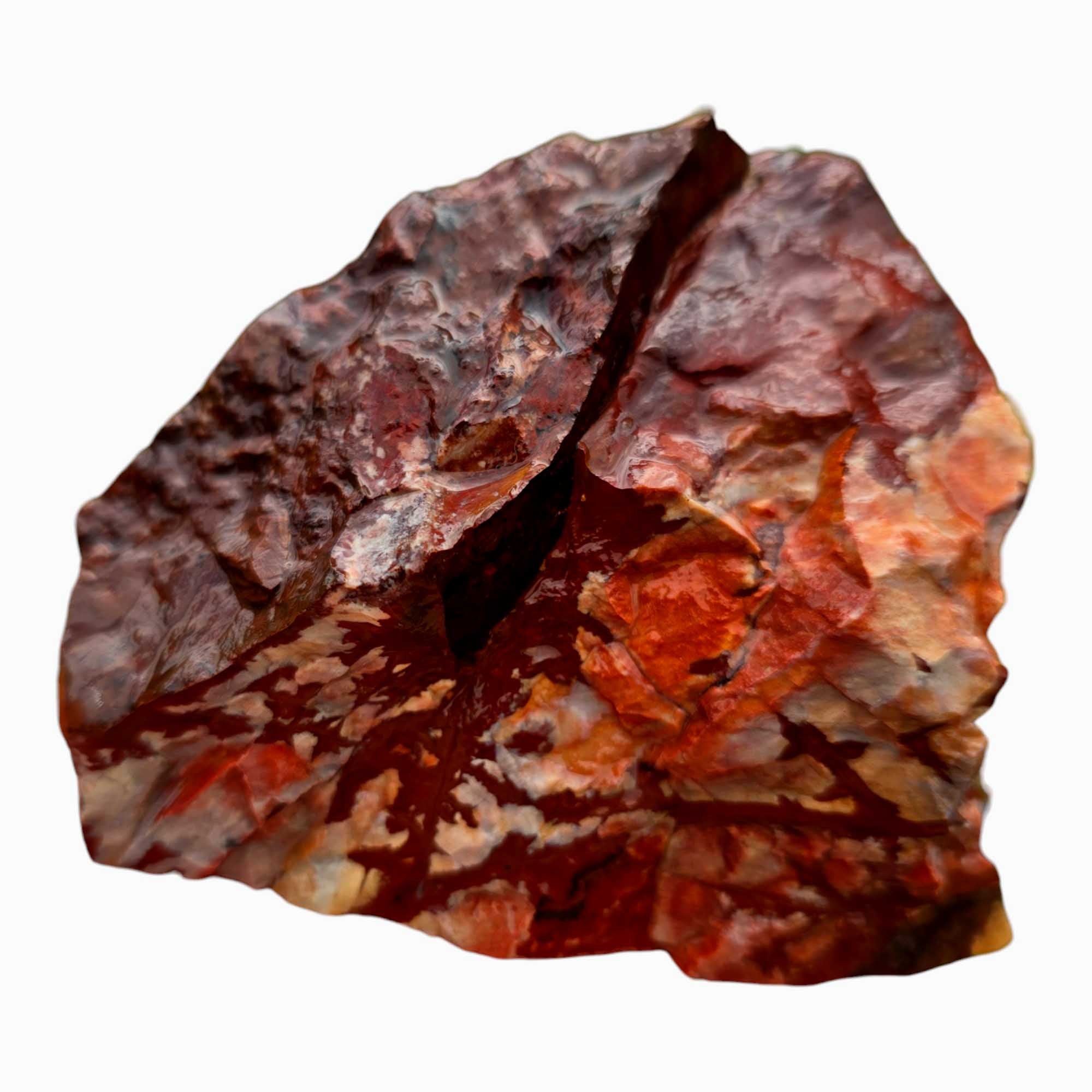 Dead Camel Jasper Lapidary Cutting Rough Chunk Stone Cut Face