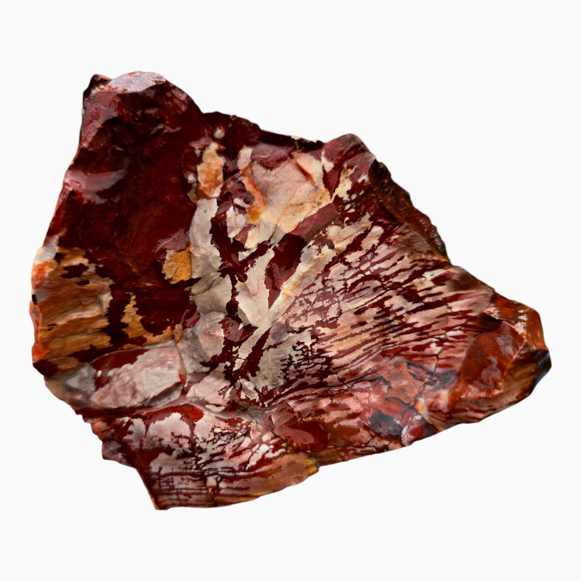 Dead Camel Jasper Lapidary Cutting Rough Chunk Stone Cut Face