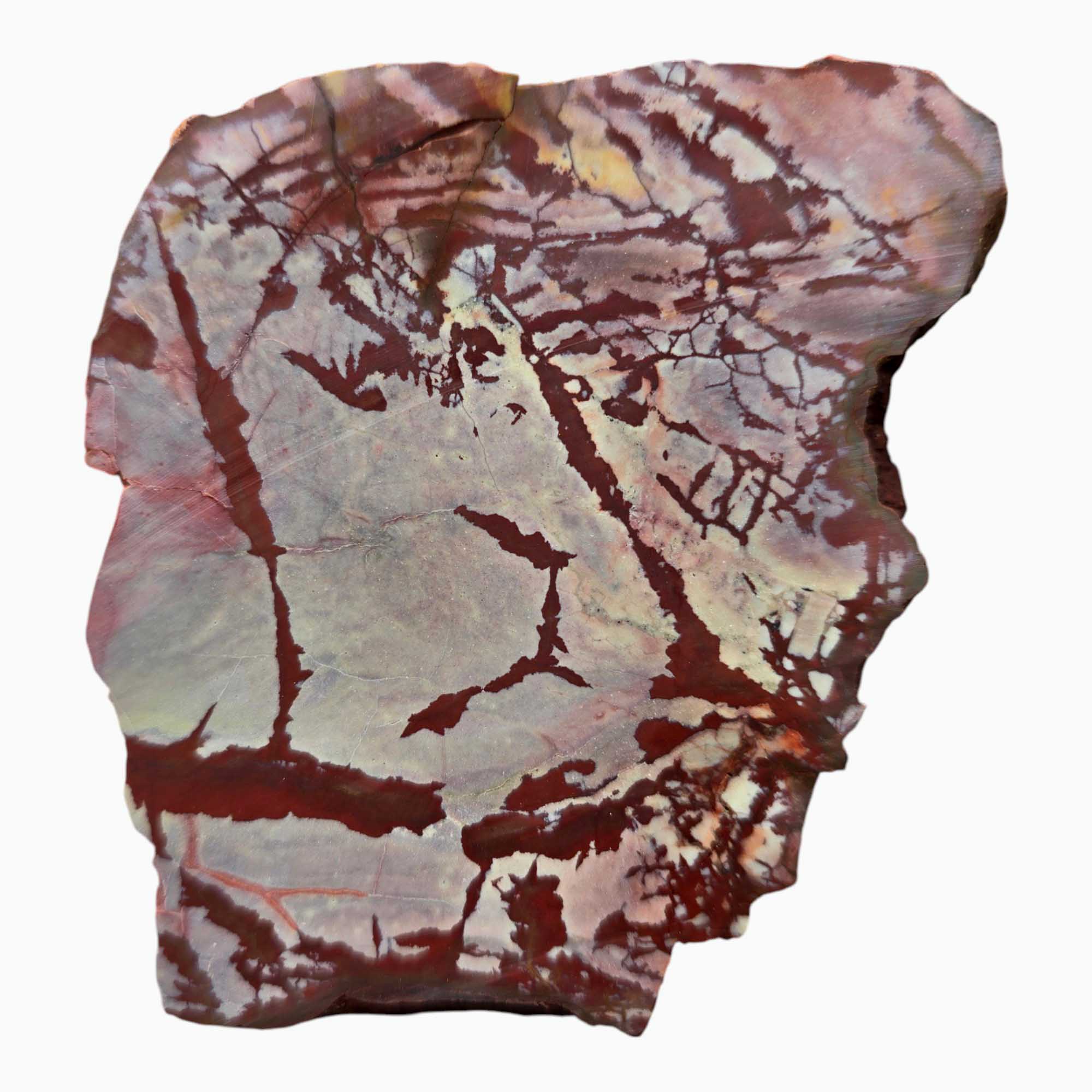 Dead Camel Jasper Lapidary Cutting Rough Chunk Stone Cut Face