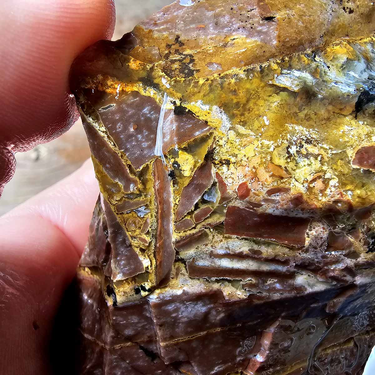 Old Stock Eagle Rock Plume Agate Rough Flatrate Box