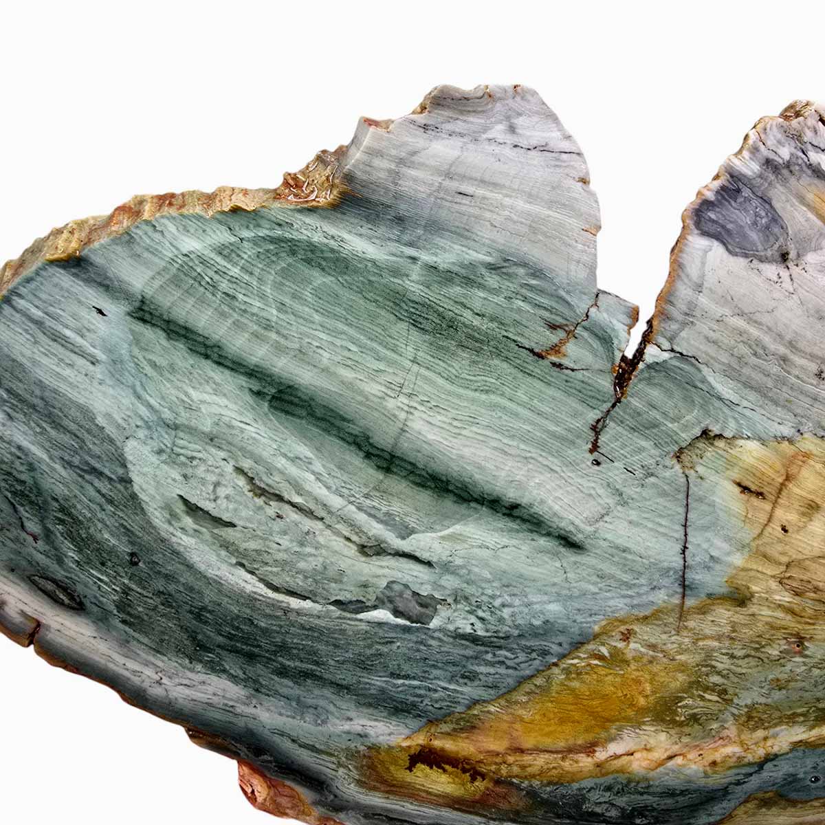 Ellipso Gary Green Larsonite Freedom Jasper Slab Lapidary Stone Slice Cut Rock