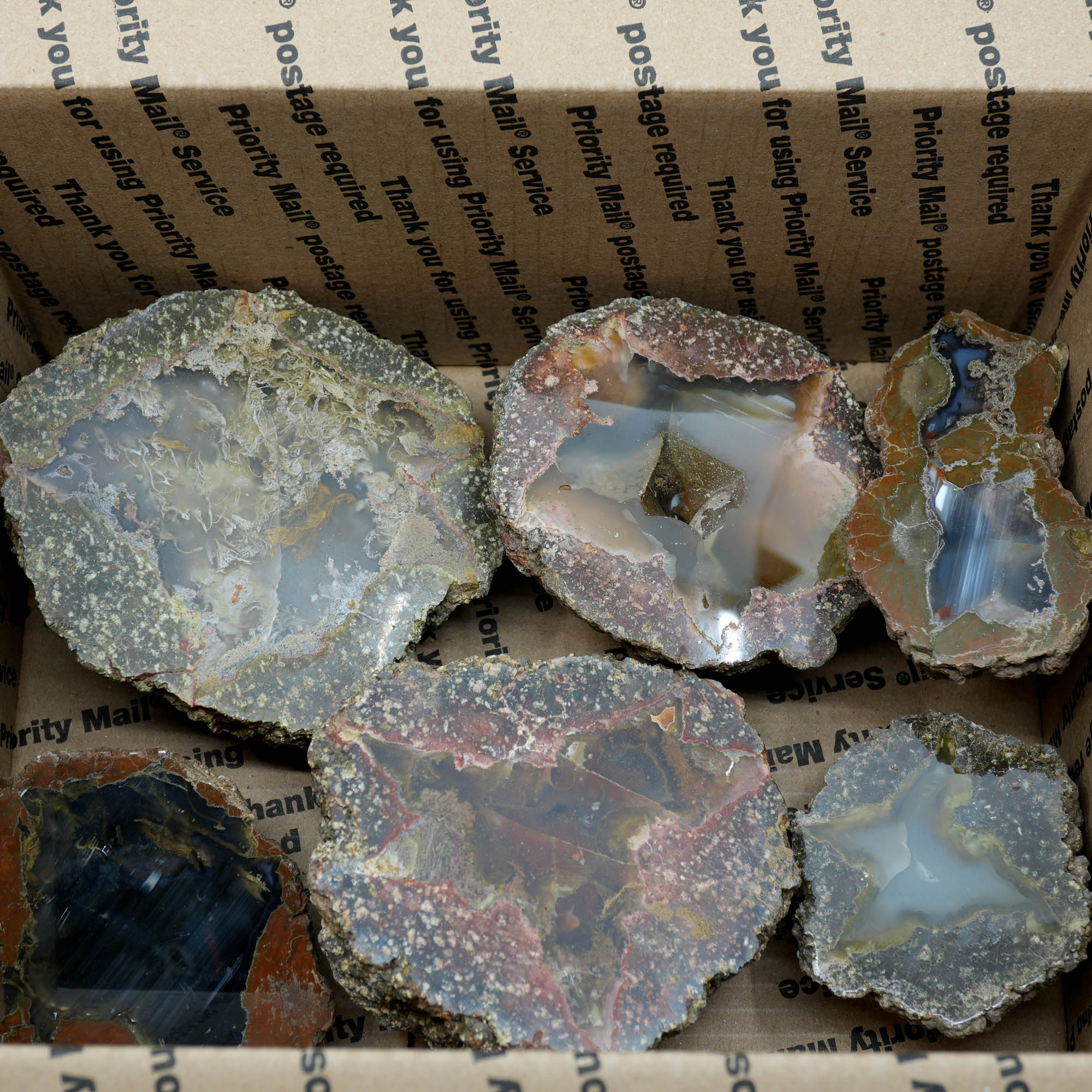 Polished Oregon Thunder Egg Lucky Strike Mossy Pattern Display #F366-Photo15