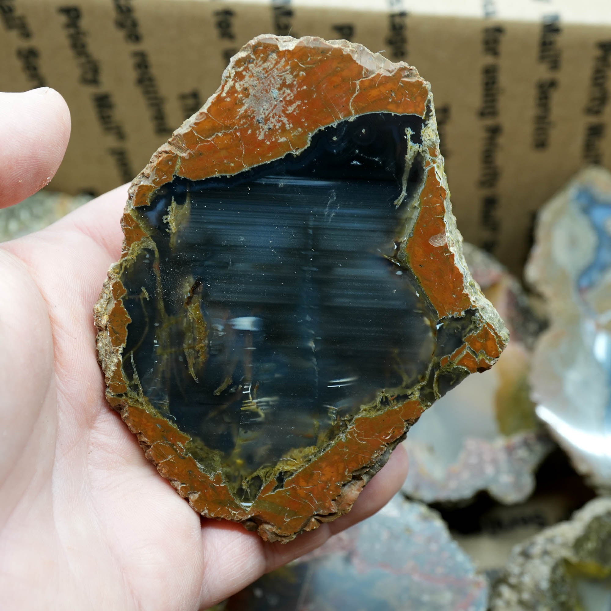 Polished Oregon Thunder Egg Lucky Strike Mossy Pattern Display #F366-Photo5