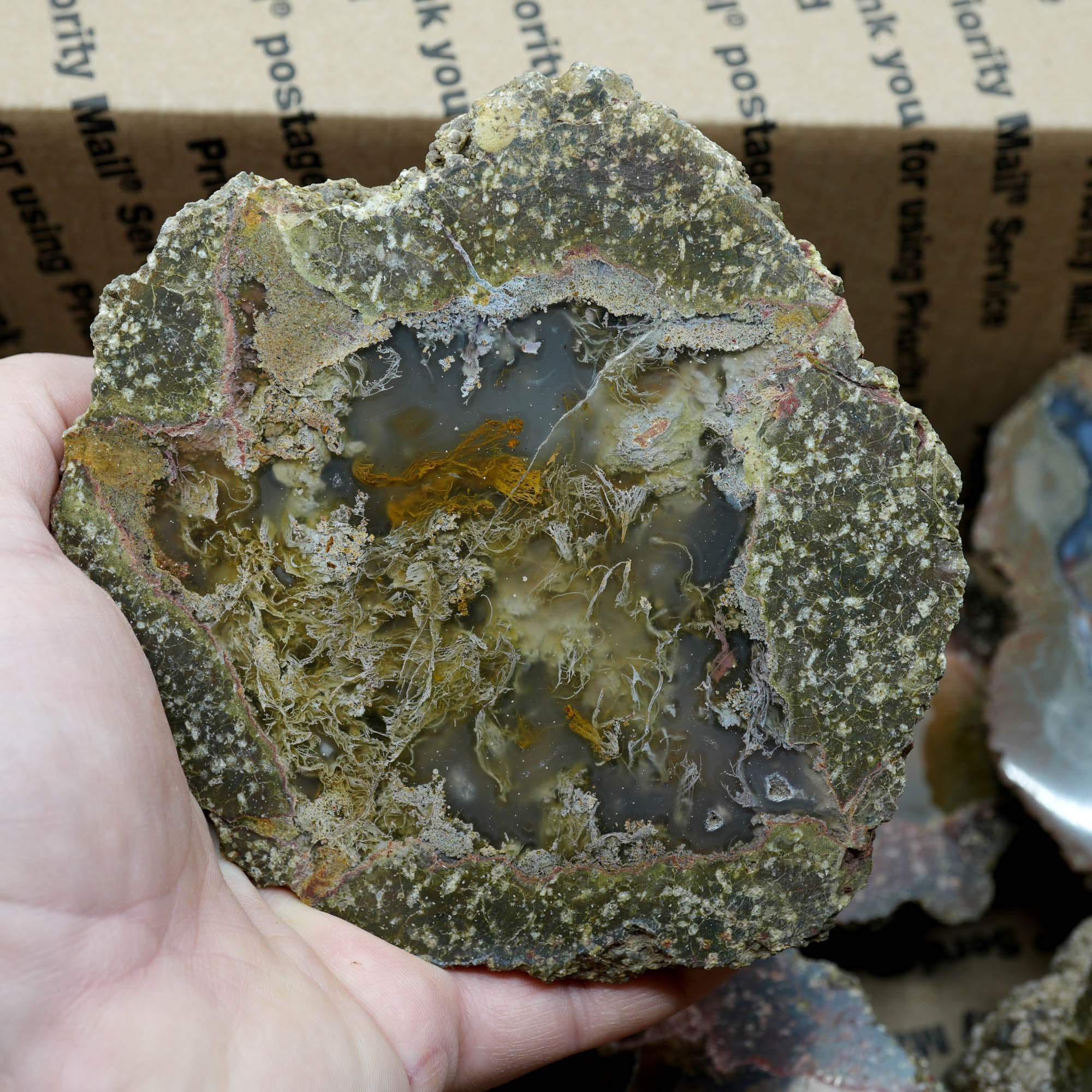 Polished Oregon Thunder Egg Lucky Strike Mossy Pattern Display #F366-Photo11