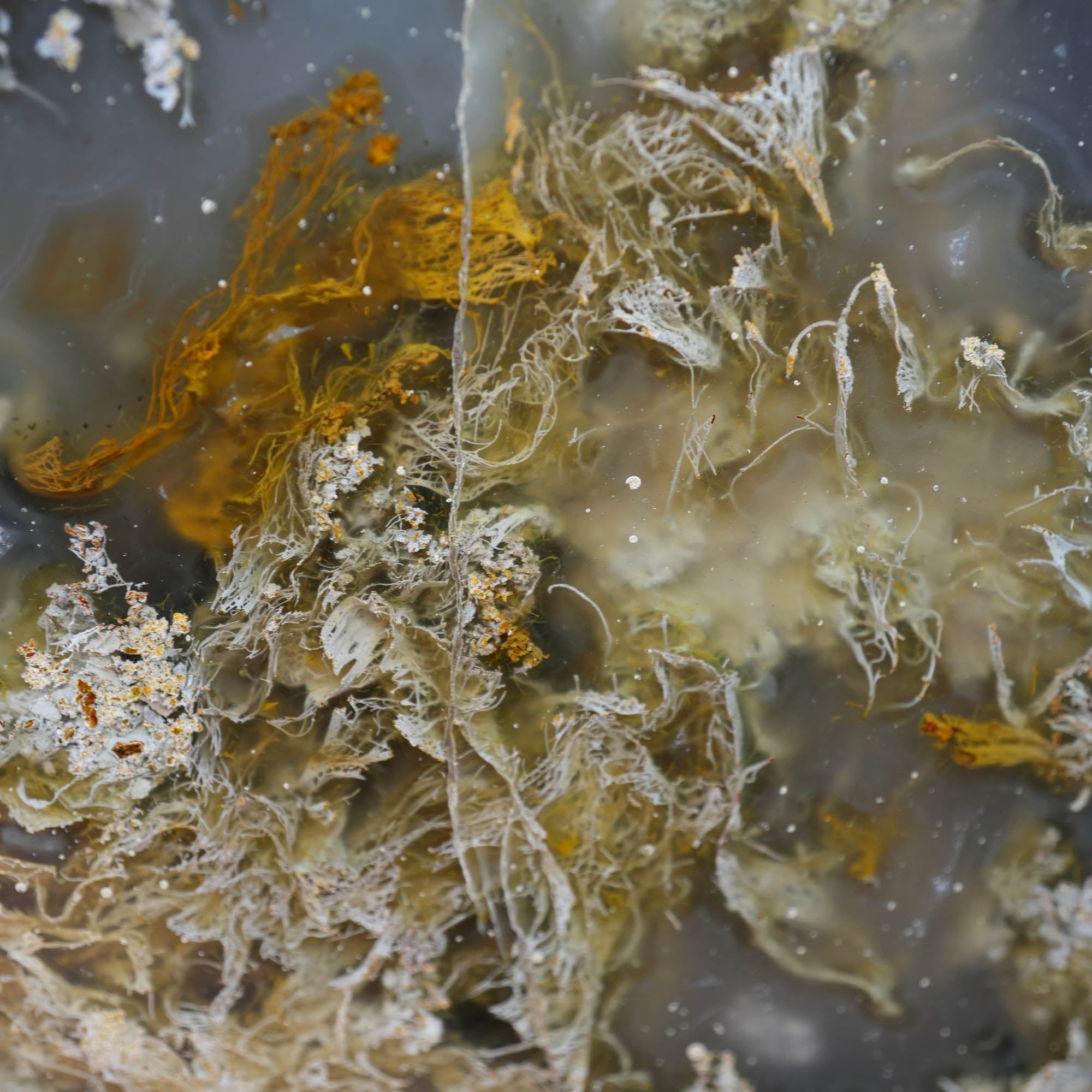 Polished Oregon Thunder Egg Lucky Strike Mossy Pattern Display #F366-Photo12