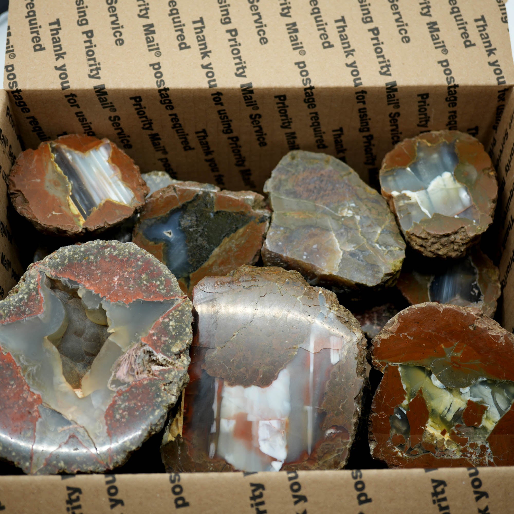 Polished Oregon Thunder Egg Lucky Strike Mossy Pattern Display #F366-Photo13