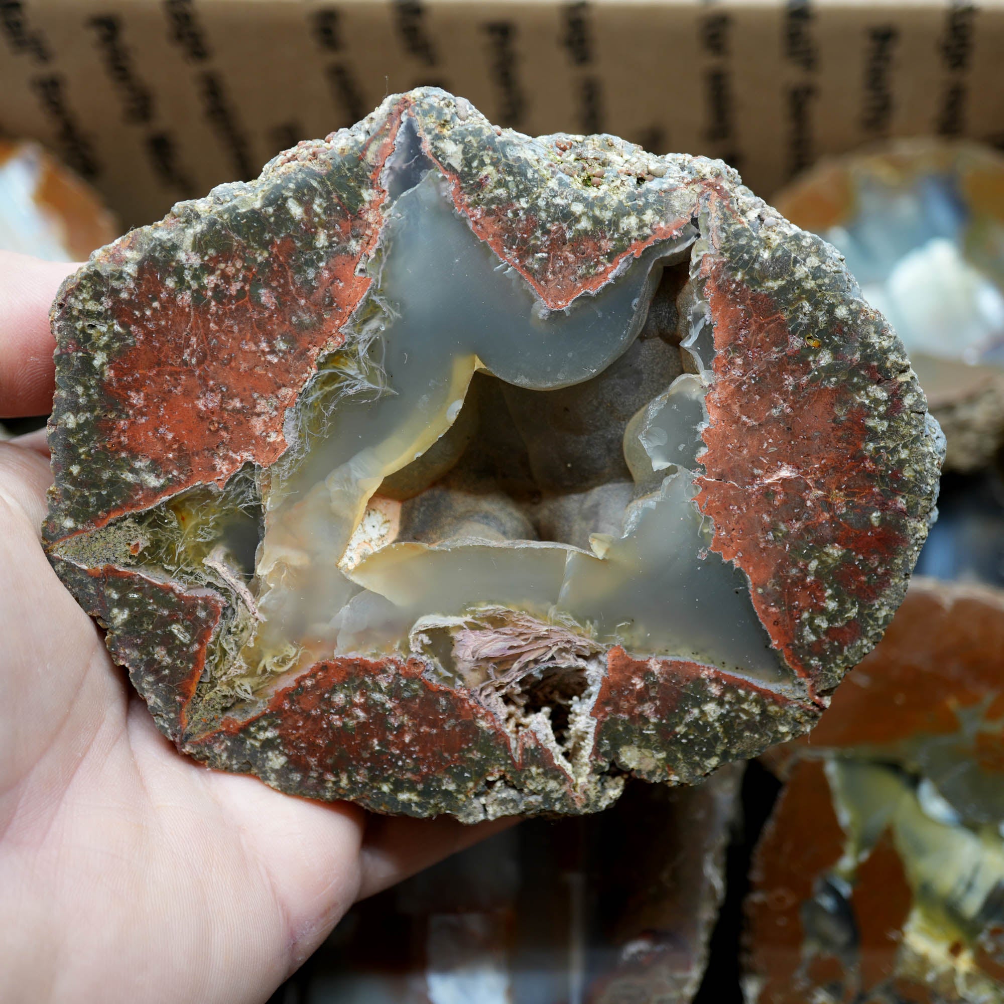 Polished Oregon Thunder Egg Lucky Strike Mossy Pattern Display #F366-Photo14