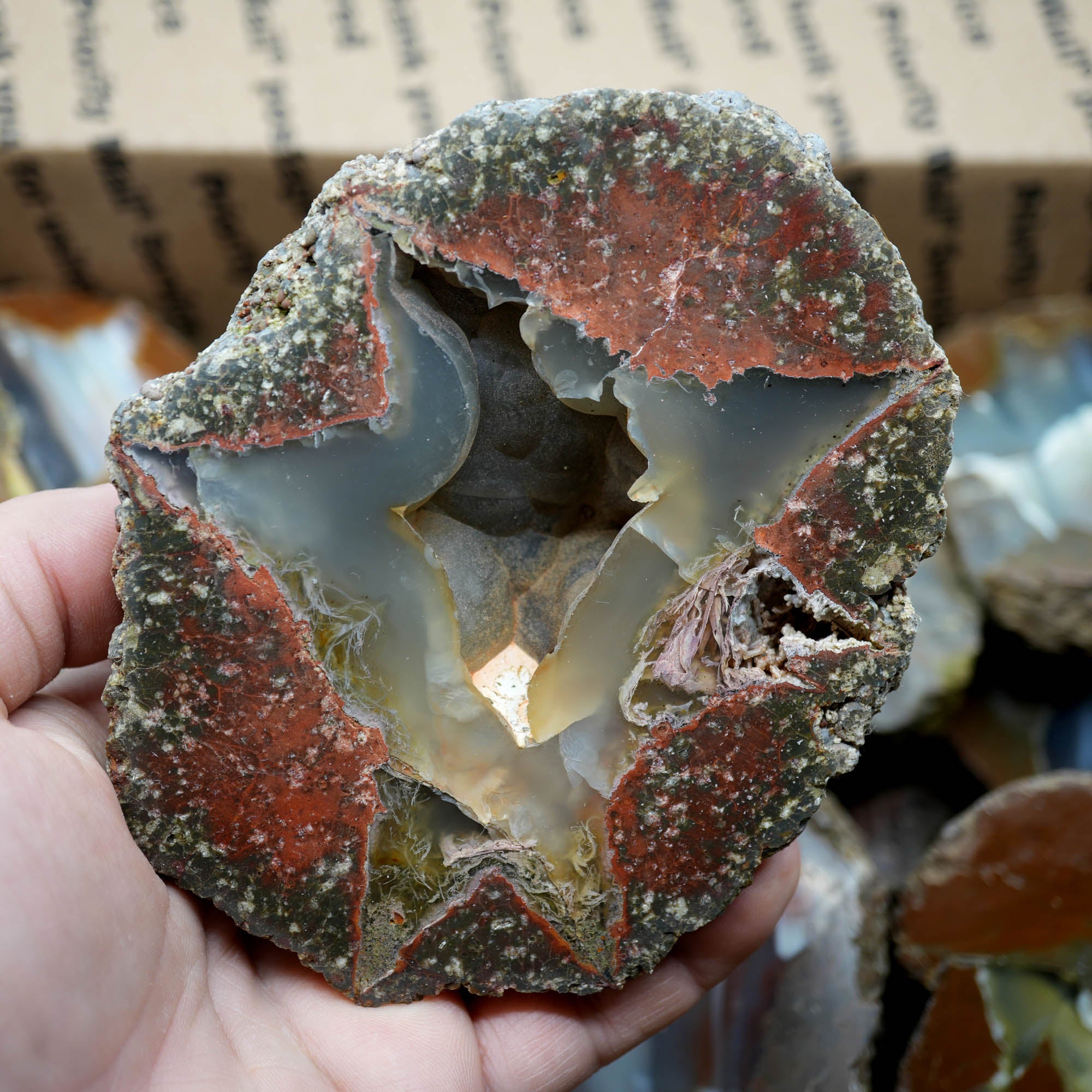 Polished Oregon Thunder Egg Lucky Strike Mossy Pattern Display #F366-Photo2