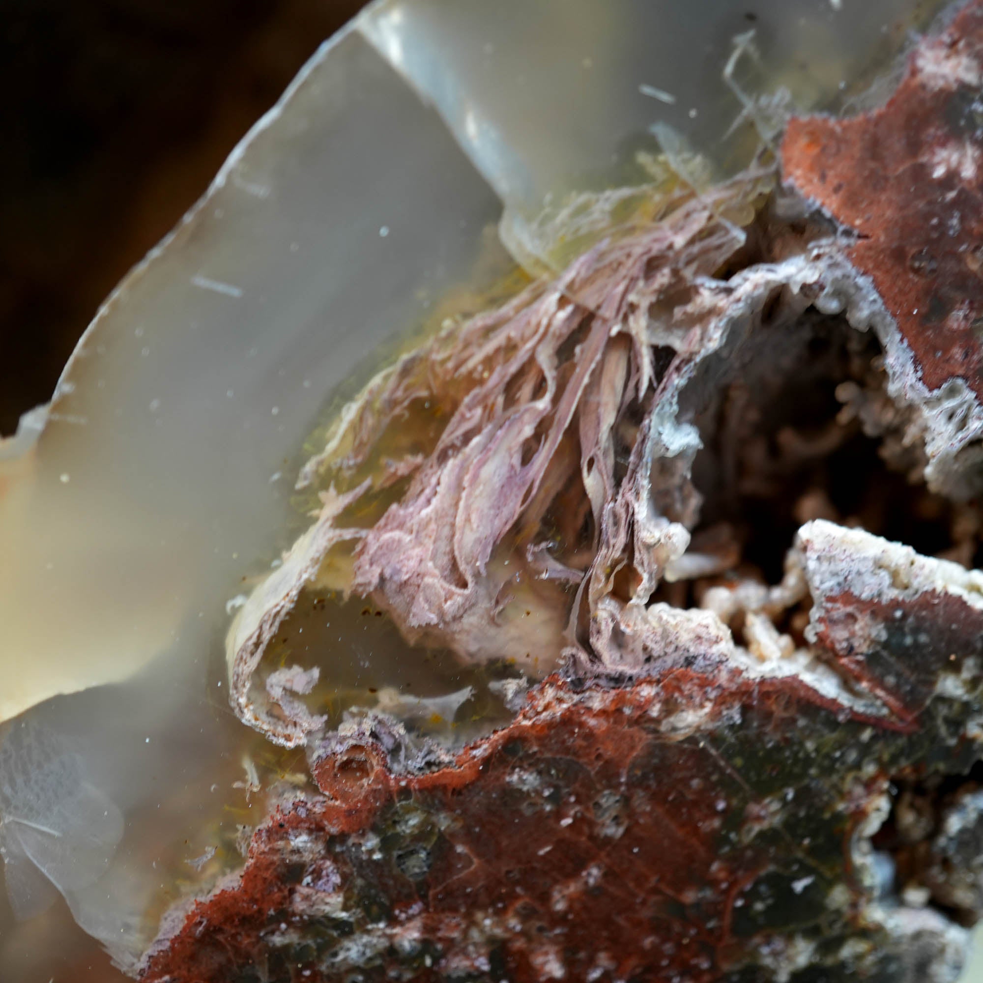 Polished Oregon Thunder Egg Lucky Strike Mossy Pattern Display #F366-Photo6